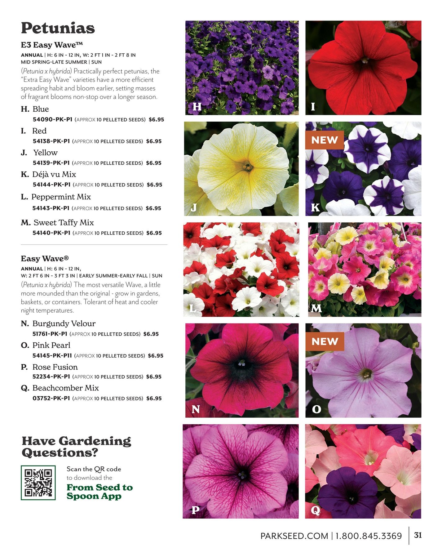 Park Seed Big Seed Spring Catalog Weekly Ad January 1 - December 31, 2026