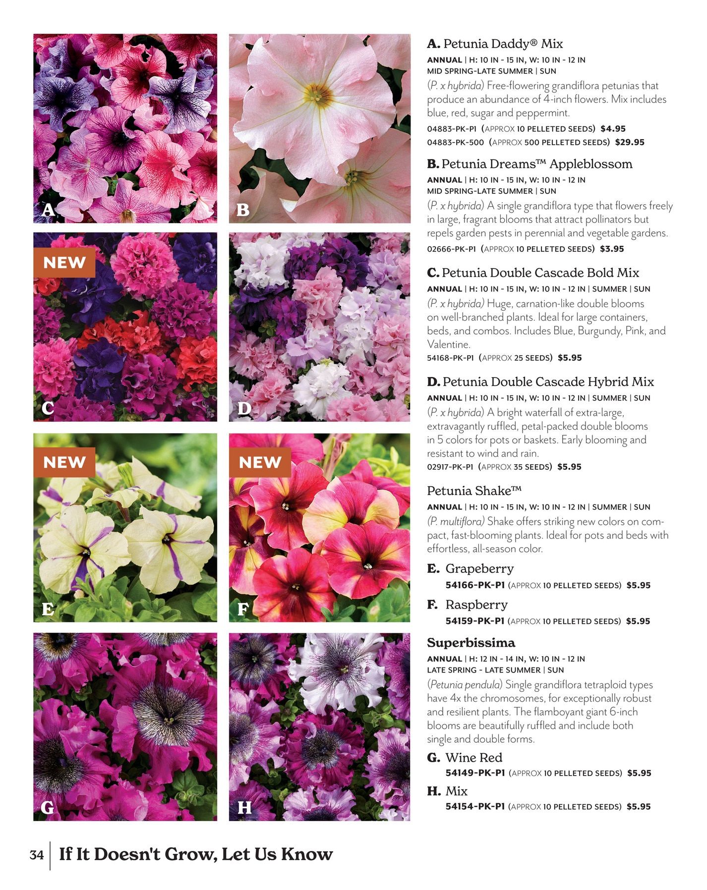 Park Seed Big Seed Spring Catalog Weekly Ad January 1 - December 31, 2026