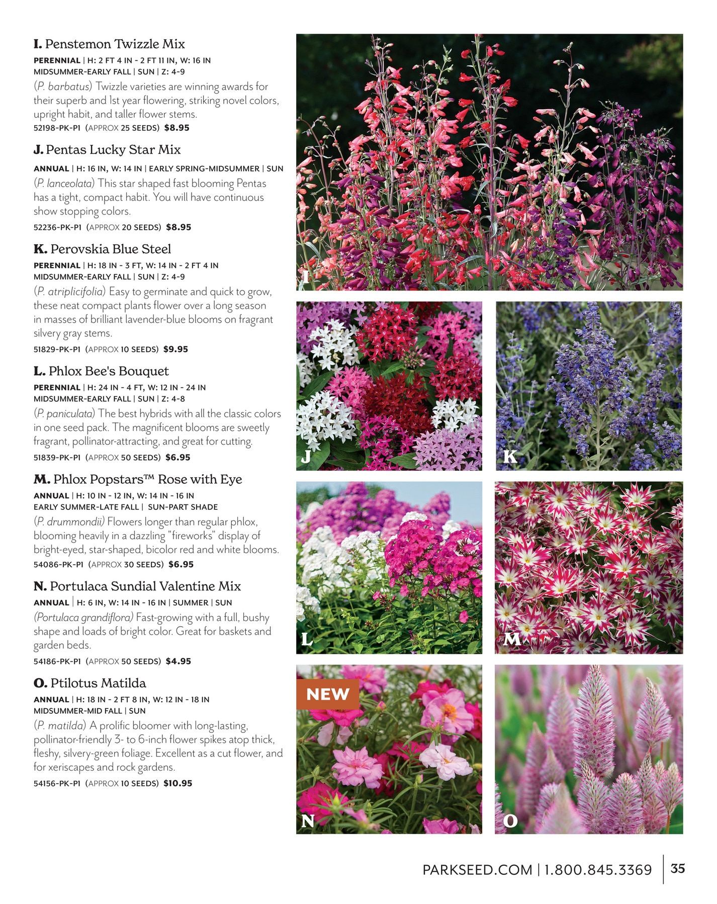 Park Seed Big Seed Spring Catalog Weekly Ad January 1 - December 31, 2026