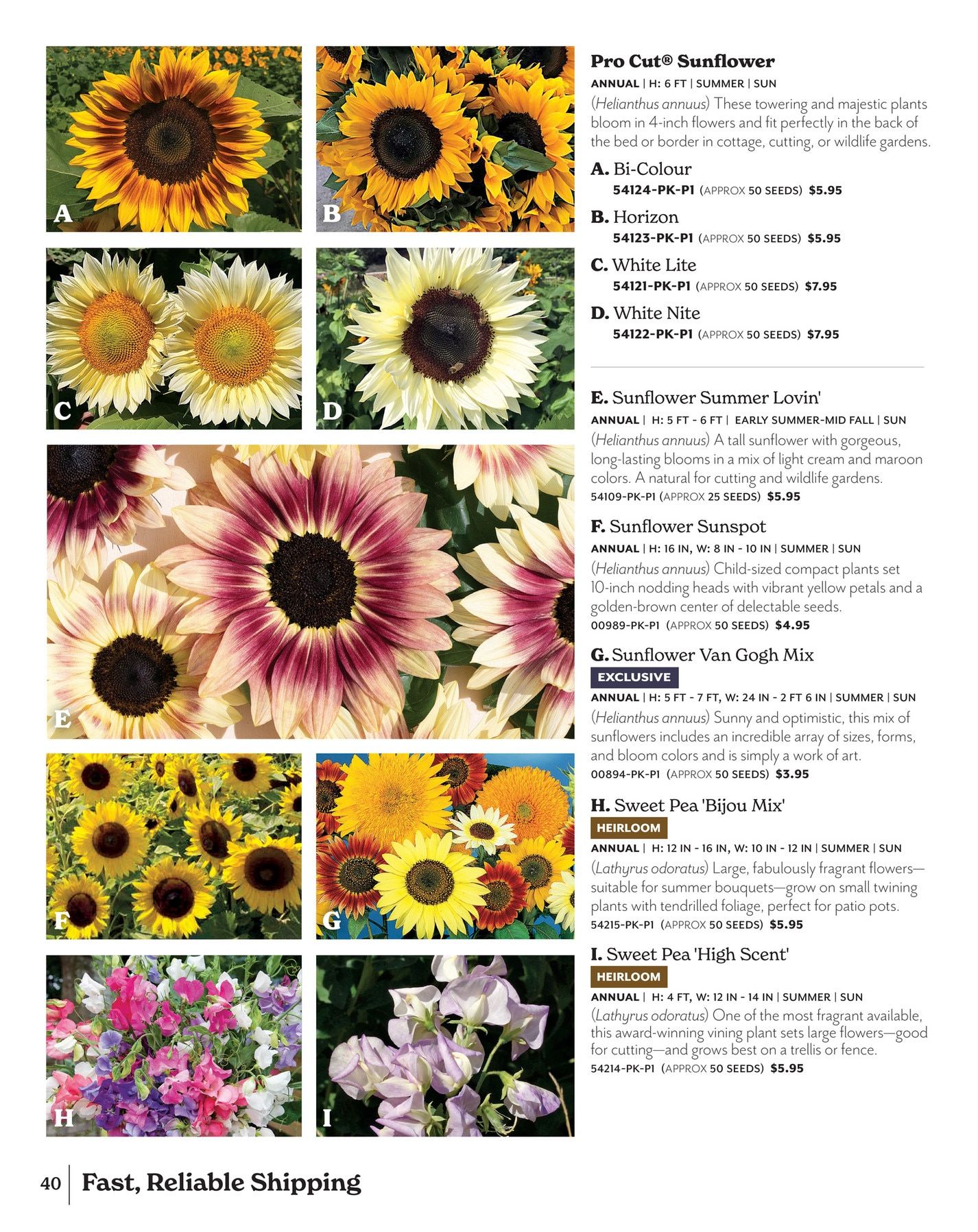 Park Seed Big Seed Spring Catalog Weekly Ad January 1 - December 31, 2026