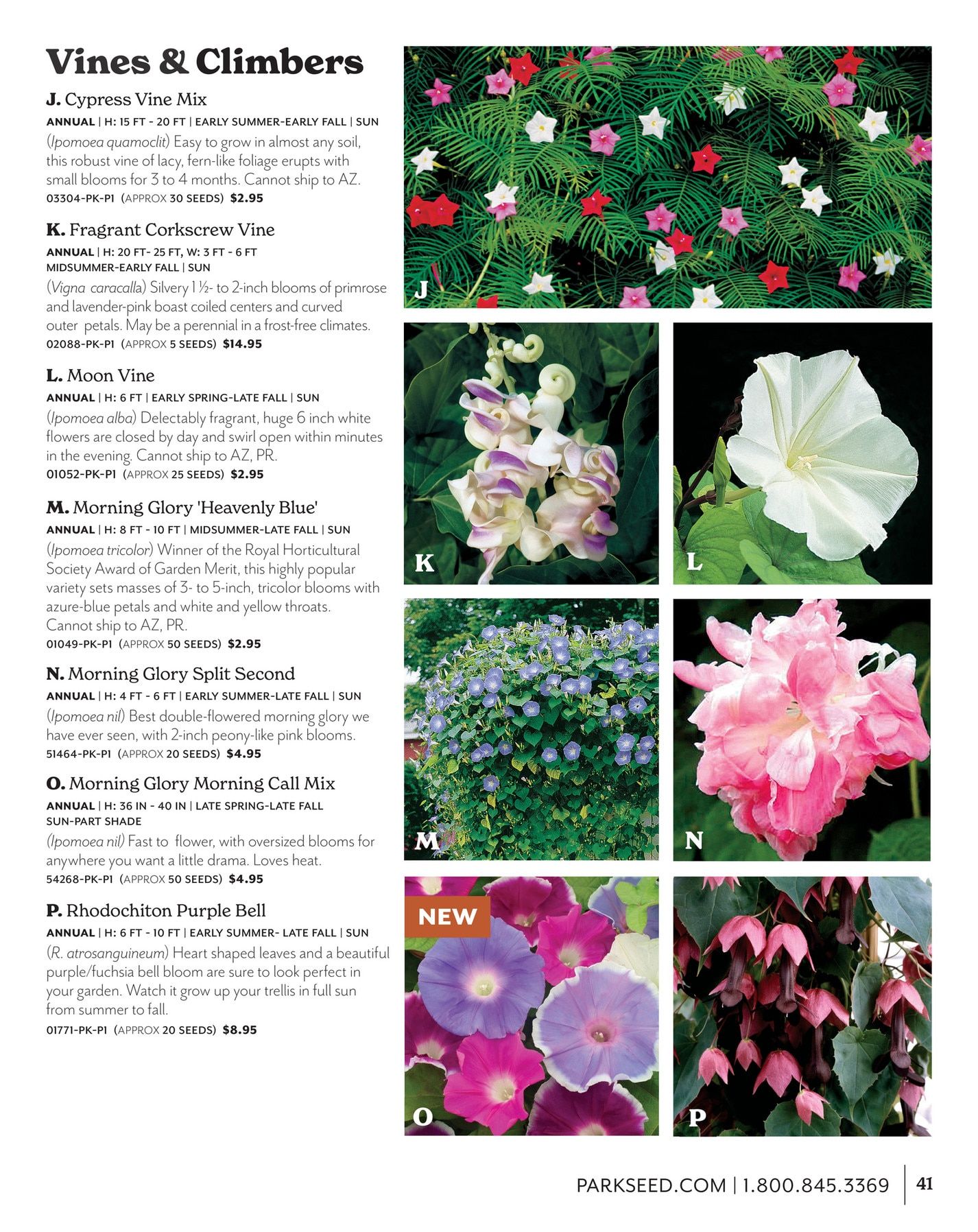 Park Seed Big Seed Spring Catalog Weekly Ad January 1 - December 31, 2026