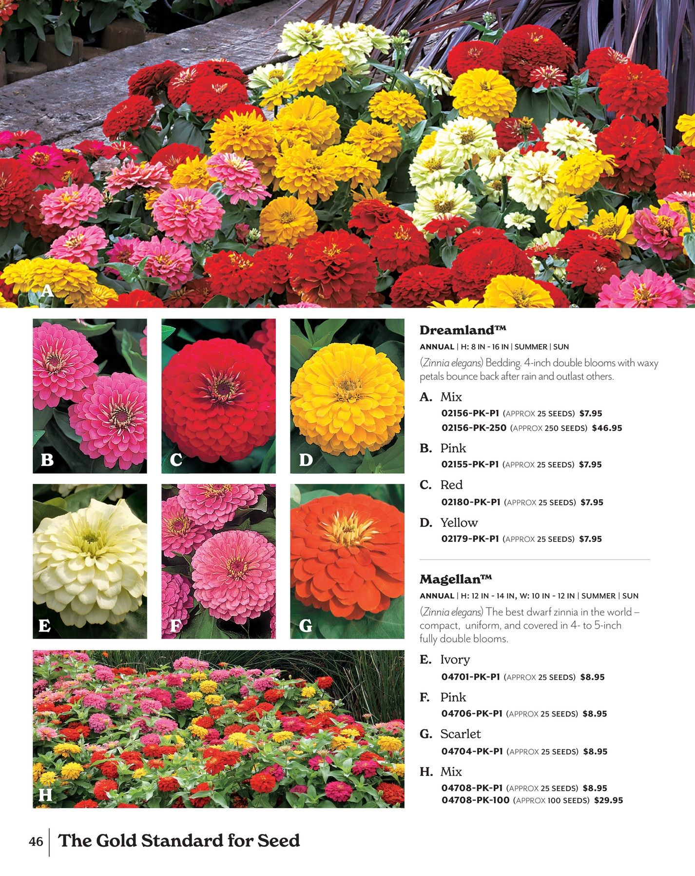 Park Seed Big Seed Spring Catalog Weekly Ad January 1 - December 31, 2026