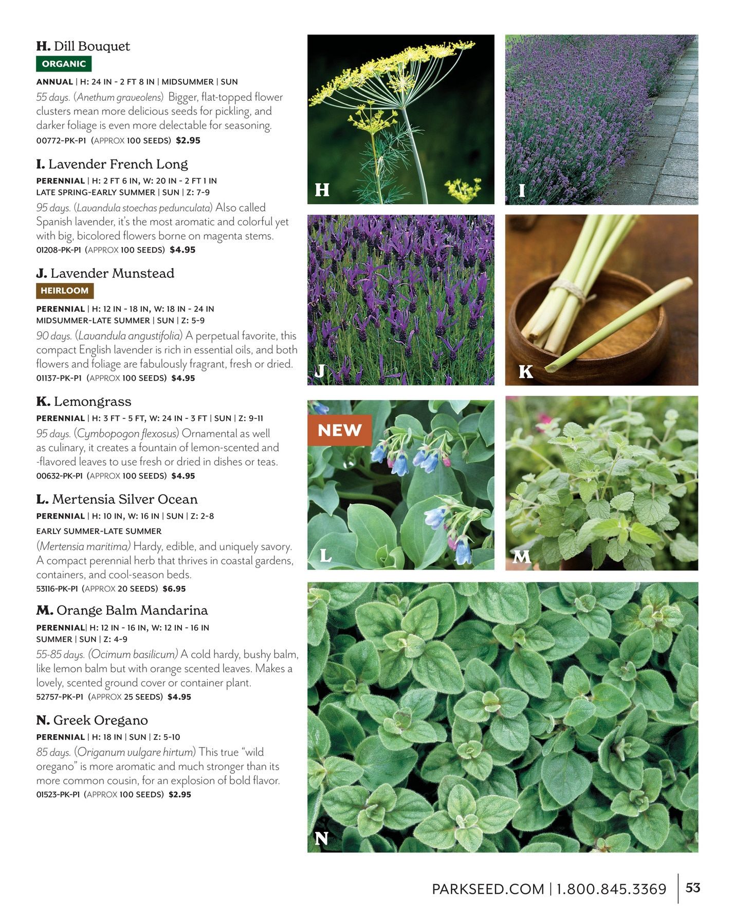 Park Seed Big Seed Spring Catalog Weekly Ad January 1 - December 31, 2026