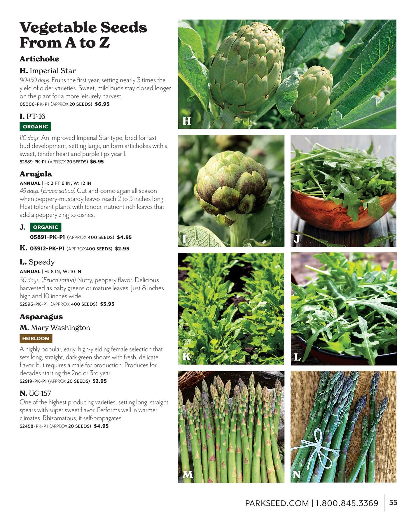 Park Seed Big Seed Spring Catalog Weekly Ad January 1 - December 31, 2026