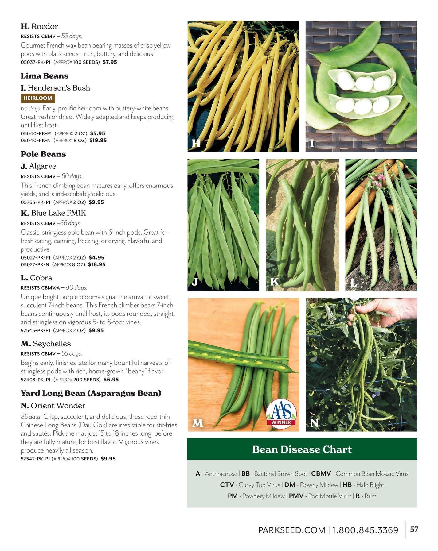 Park Seed Big Seed Spring Catalog Weekly Ad January 1 - December 31, 2026