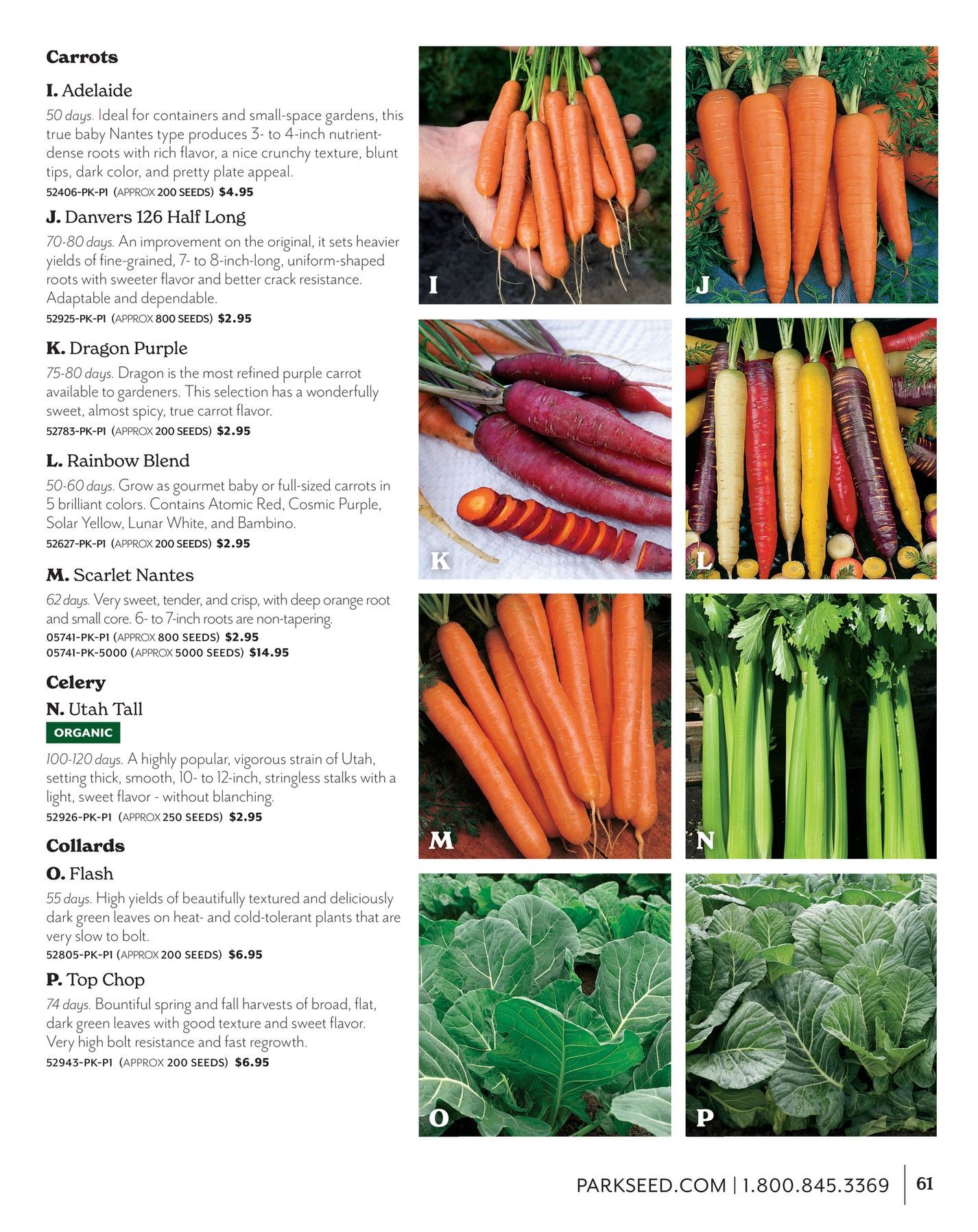 Park Seed Big Seed Spring Catalog Weekly Ad January 1 - December 31, 2026
