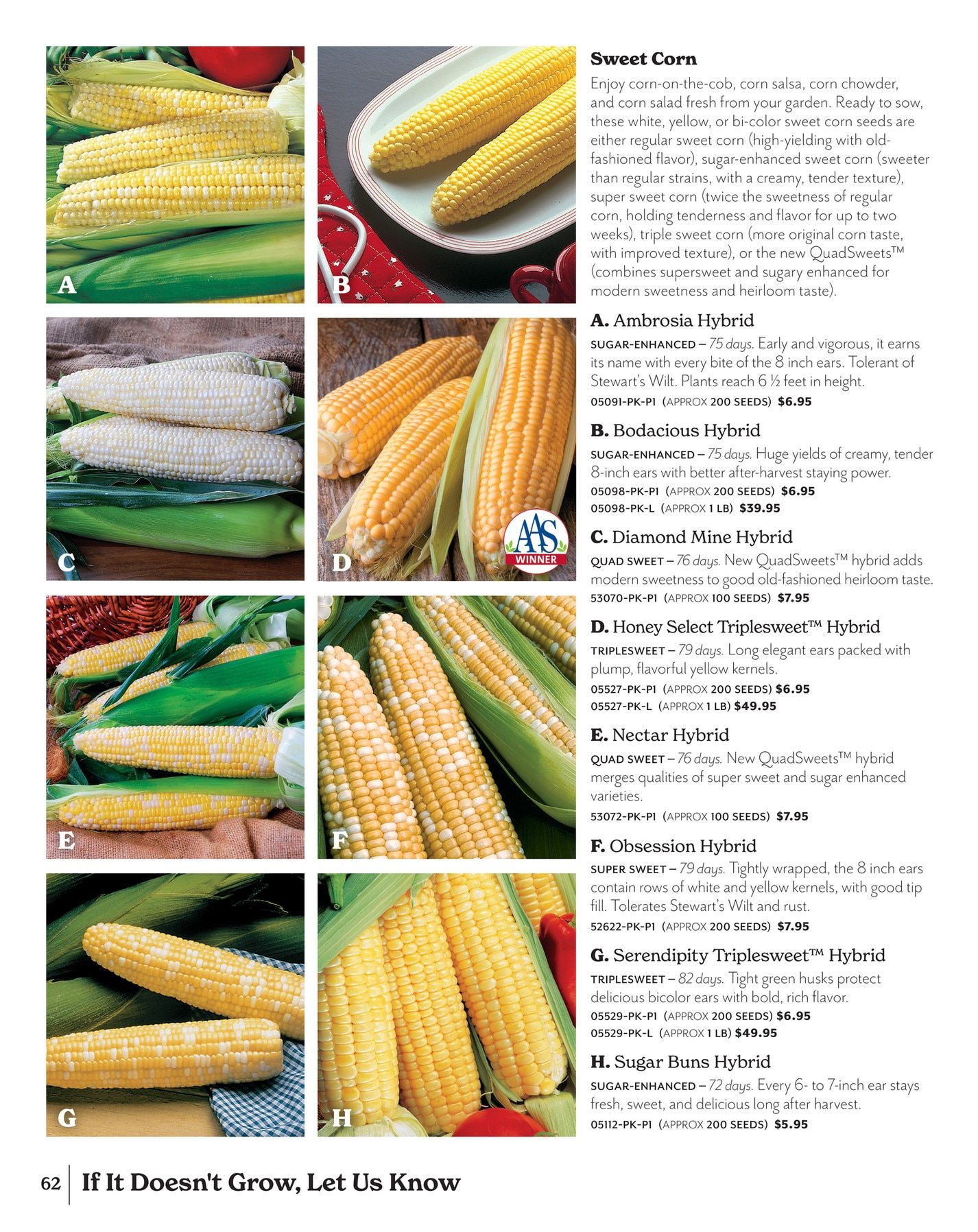 Park Seed Big Seed Spring Catalog Weekly Ad January 1 - December 31, 2026