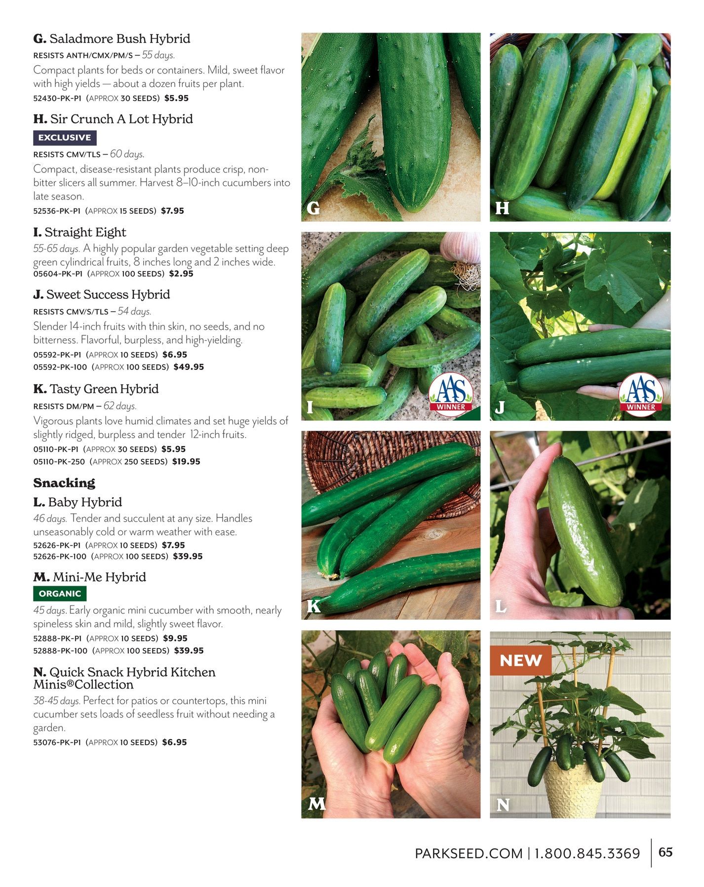 Park Seed Big Seed Spring Catalog Weekly Ad January 1 - December 31, 2026