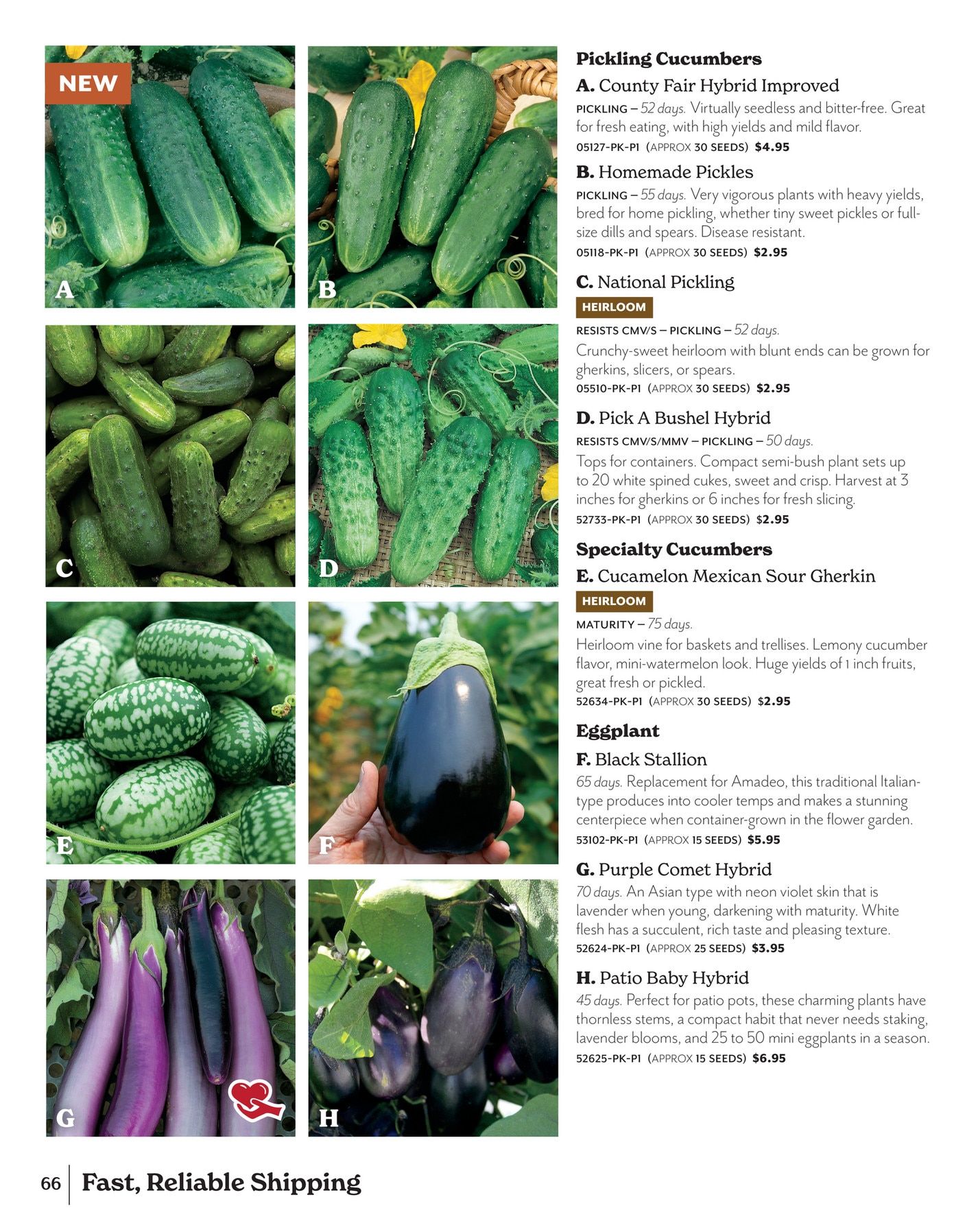 Park Seed Big Seed Spring Catalog Weekly Ad January 1 - December 31, 2026