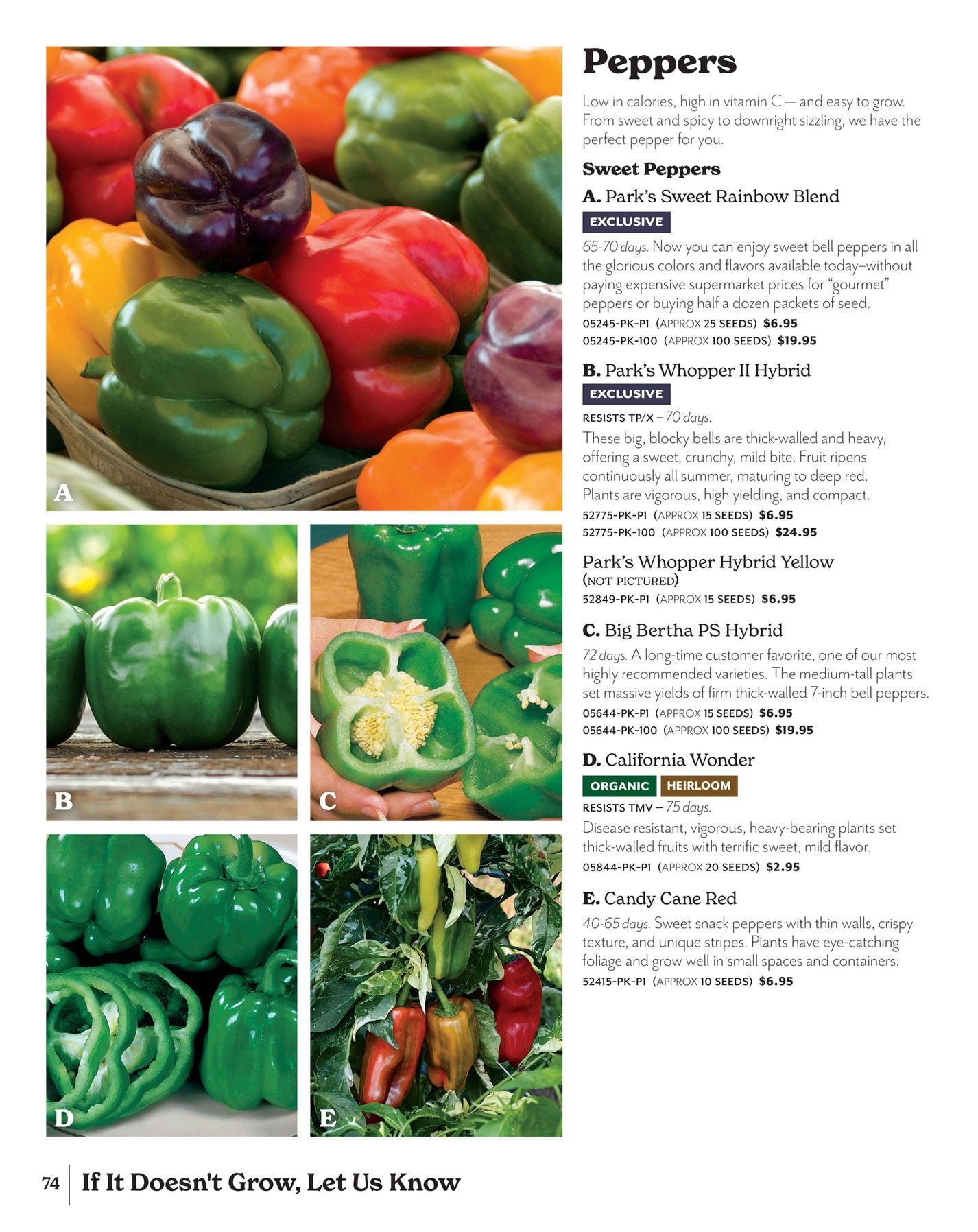 Park Seed Big Seed Spring Catalog Weekly Ad January 1 - December 31, 2026