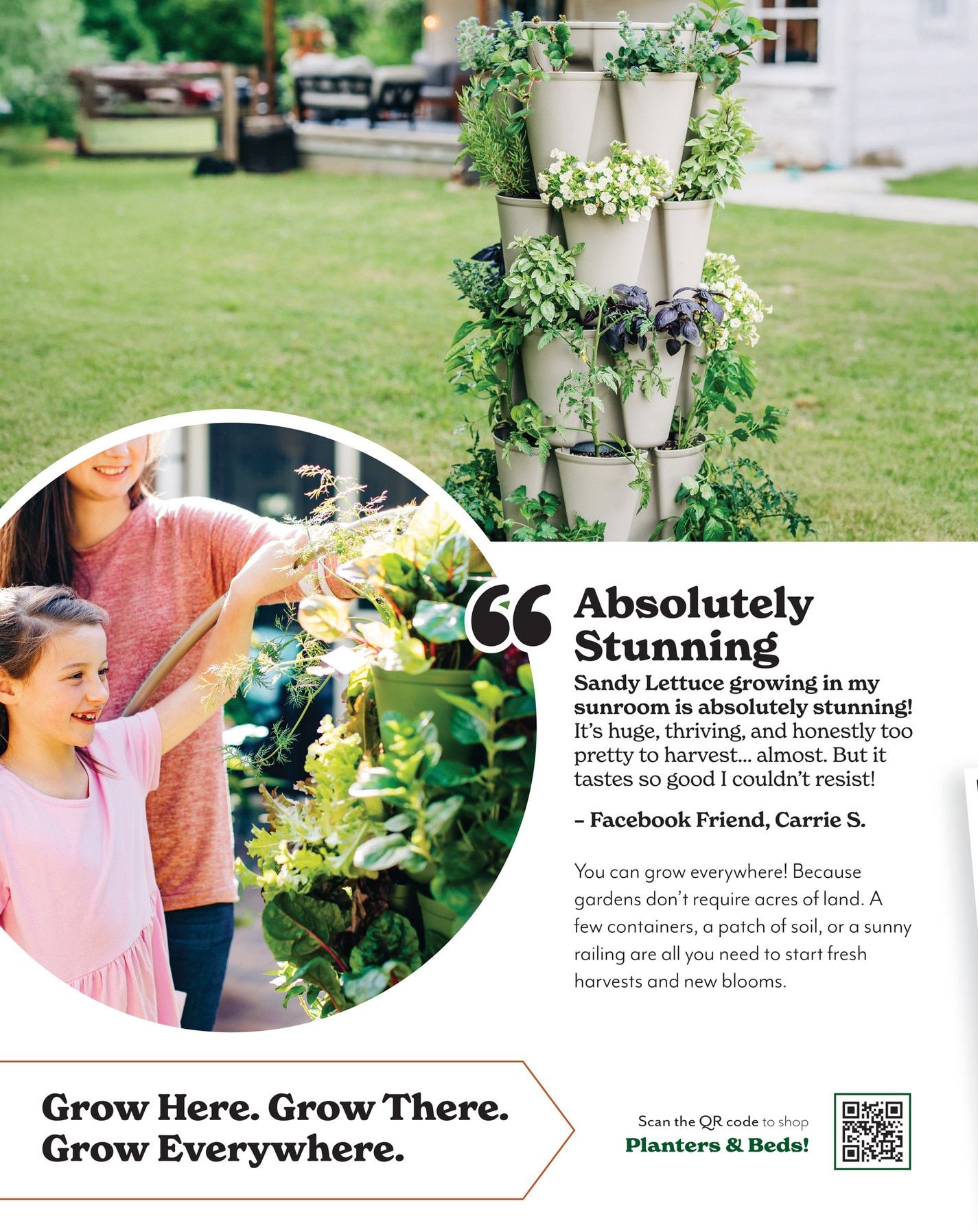 Park Seed Big Seed Spring Catalog Weekly Ad January 1 - December 31, 2026