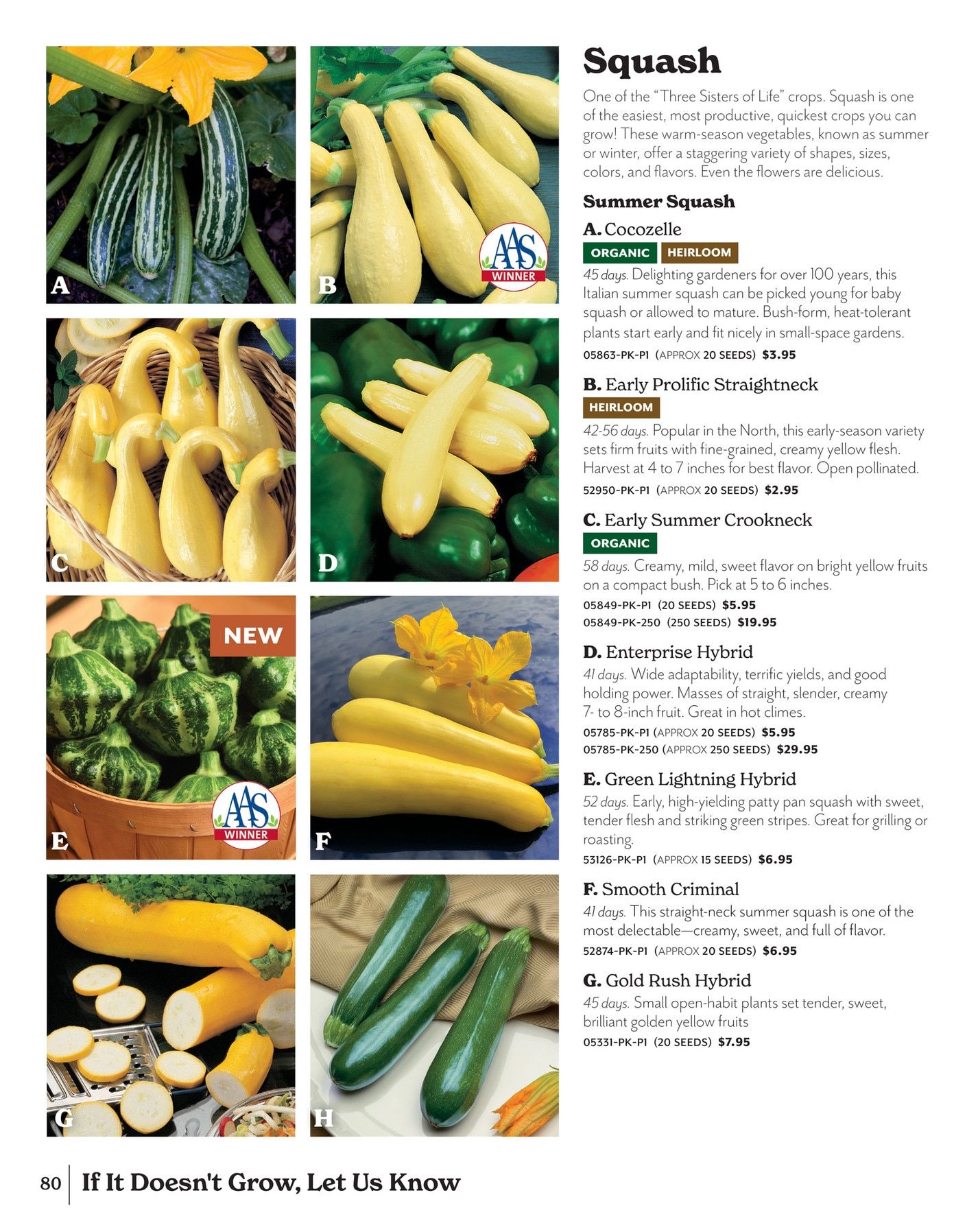 Park Seed Big Seed Spring Catalog Weekly Ad January 1 - December 31, 2026