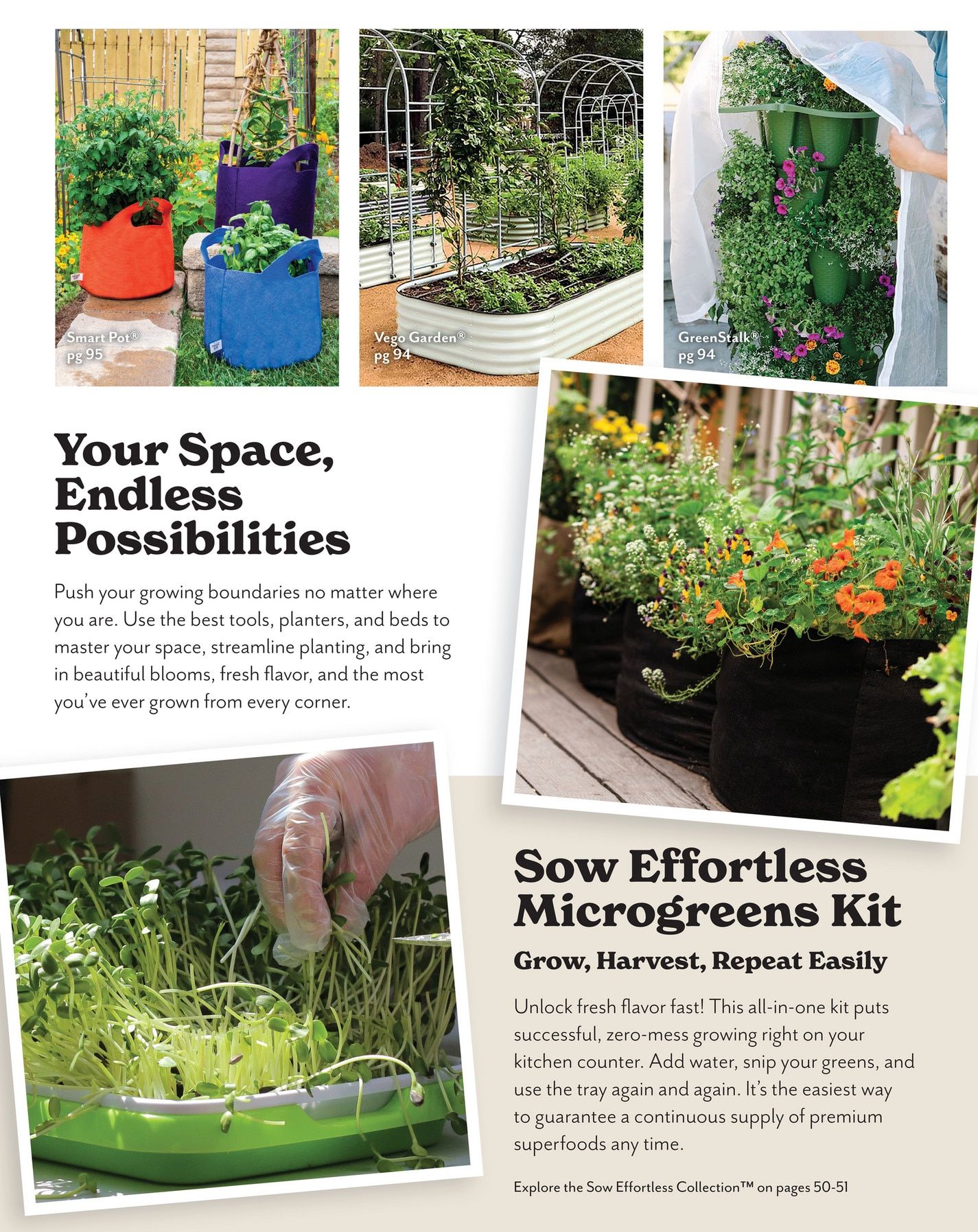 Park Seed Big Seed Spring Catalog Weekly Ad January 1 - December 31, 2026