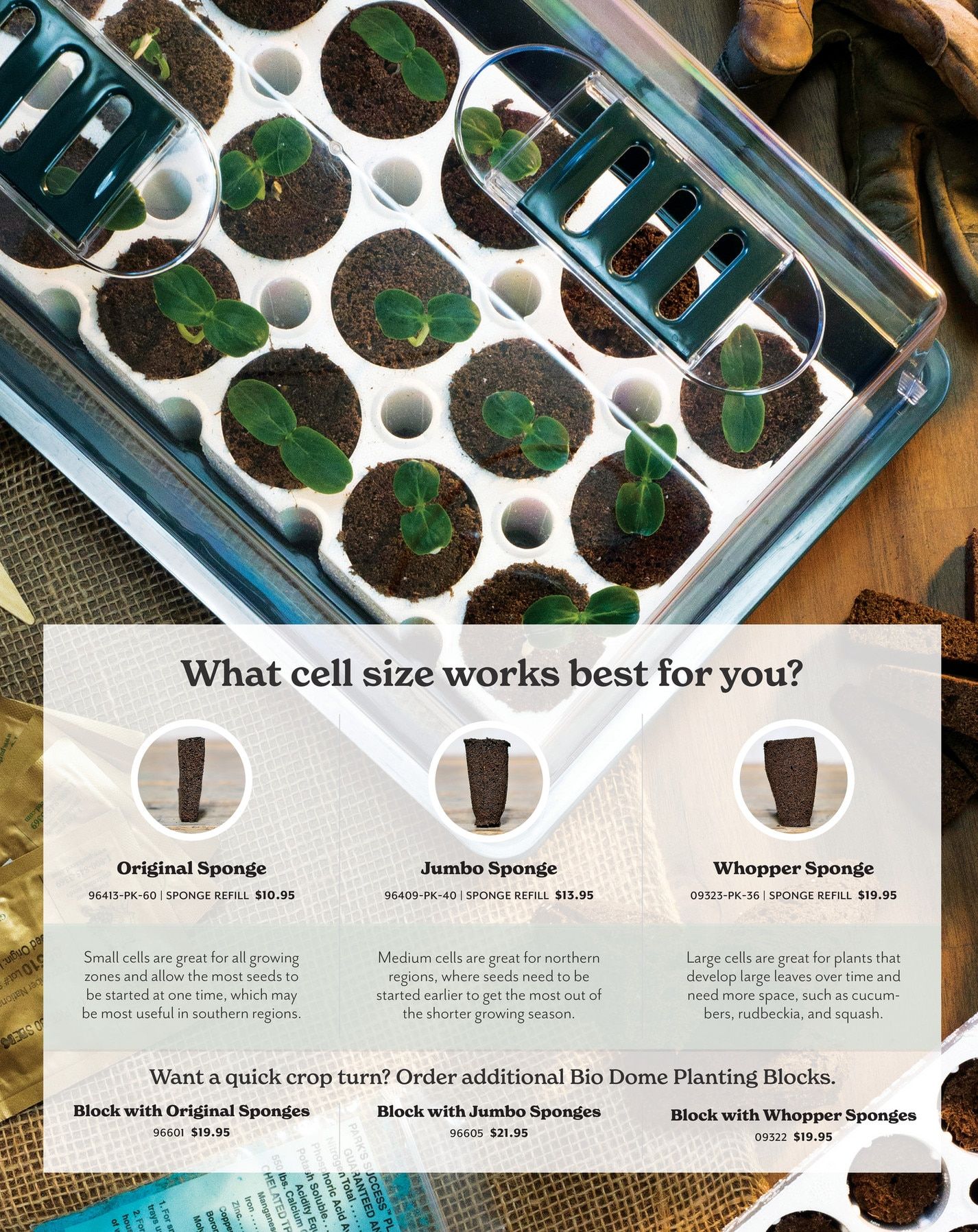 Park Seed Big Seed Spring Catalog Weekly Ad January 1 - December 31, 2026