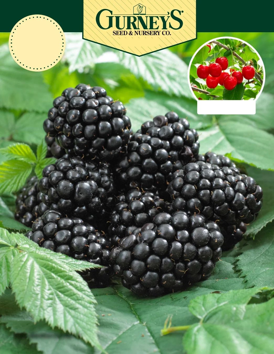 Gurney's Seed & Nursery Co. Fall Catalog Weekly Ad July 1 - December 31, 2026