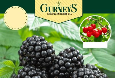Gurney's Seed & Nursery Co. Fall Catalog Weekly Ad July 1 - December 31, 2026
