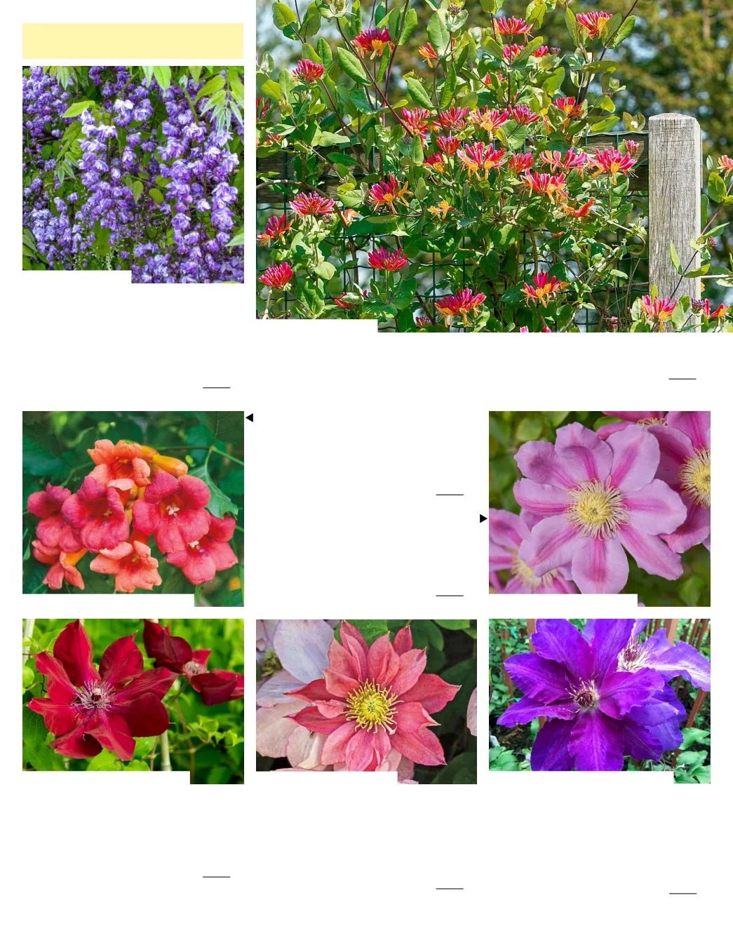 Gurney's Seed & Nursery Co. Fall Catalog Weekly Ad July 1 - December 31, 2026