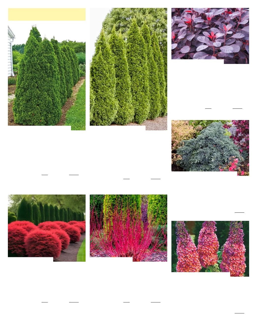 Gurney's Seed & Nursery Co. Fall Catalog Weekly Ad July 1 - December 31, 2026