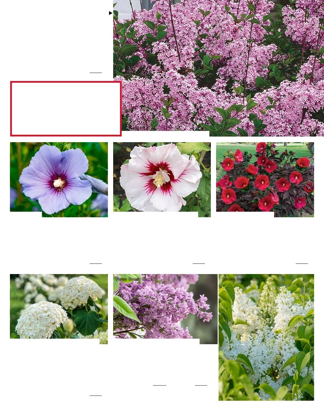 Gurney's Seed & Nursery Co. Fall Catalog Weekly Ad July 1 - December 31, 2026
