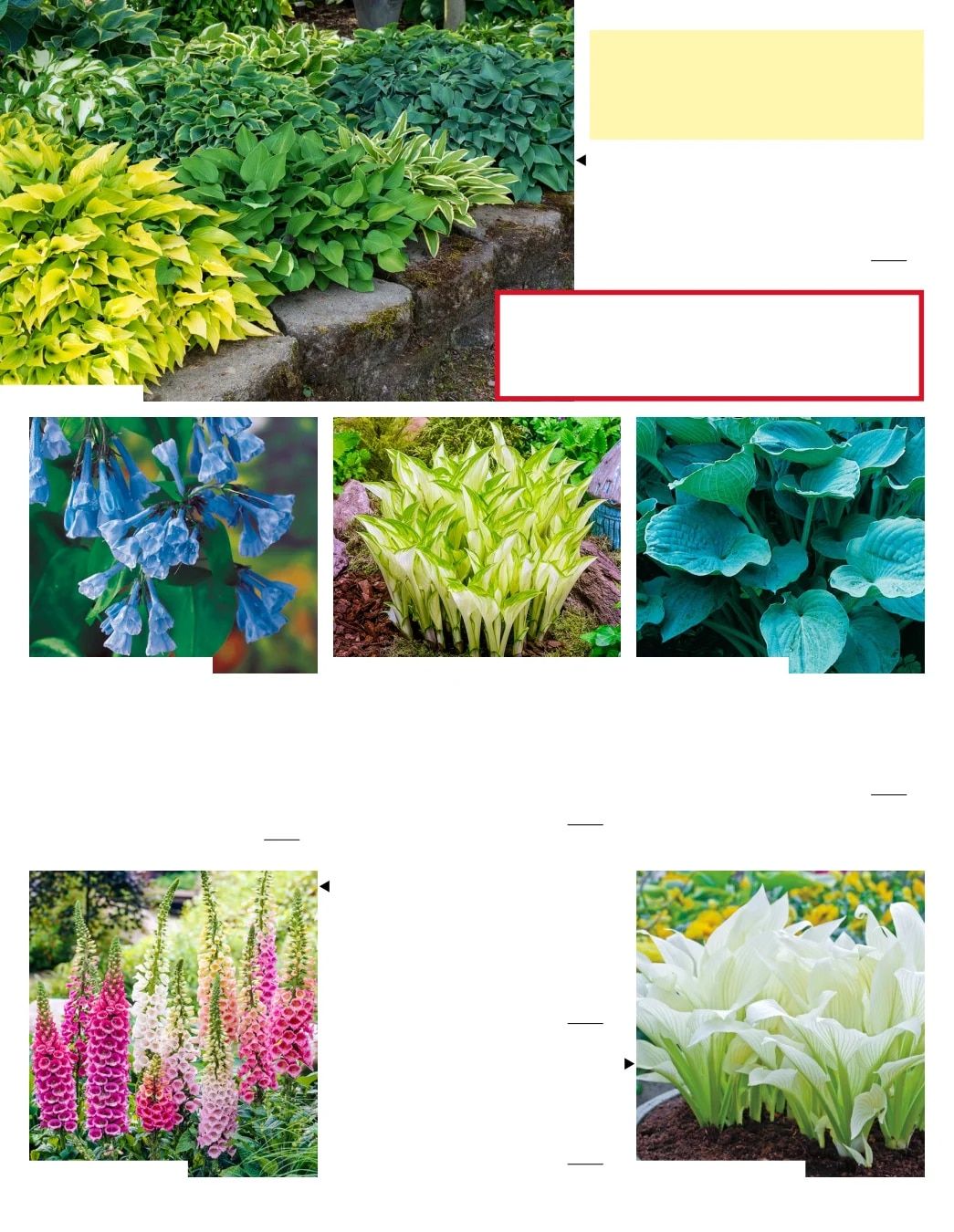 Gurney's Seed & Nursery Co. Fall Catalog Weekly Ad July 1 - December 31, 2026