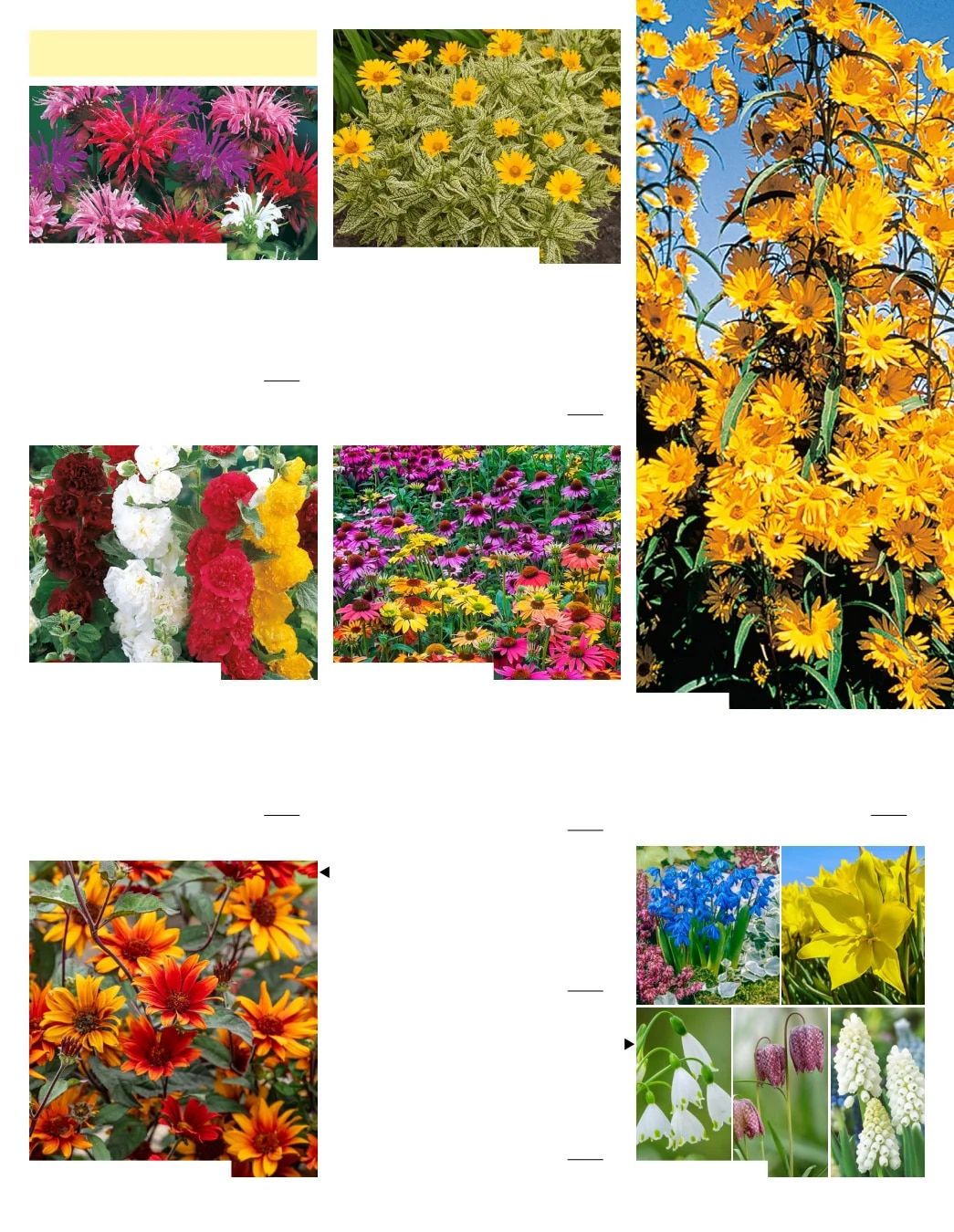 Gurney's Seed & Nursery Co. Fall Catalog Weekly Ad July 1 - December 31, 2026
