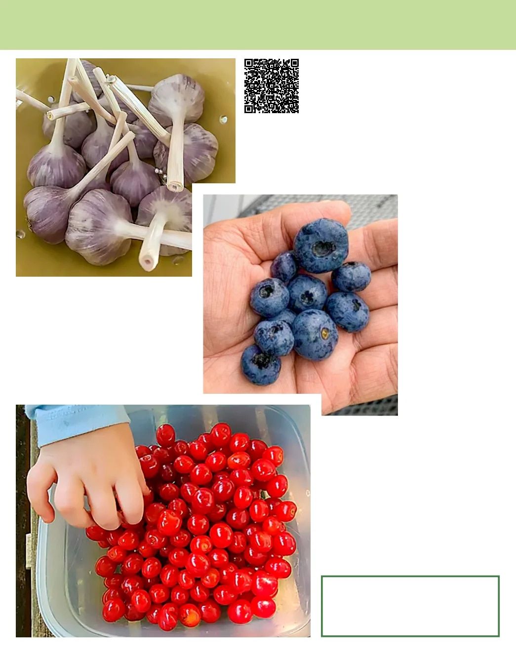 Gurney's Seed & Nursery Co. Fall Catalog Weekly Ad July 1 - December 31, 2026
