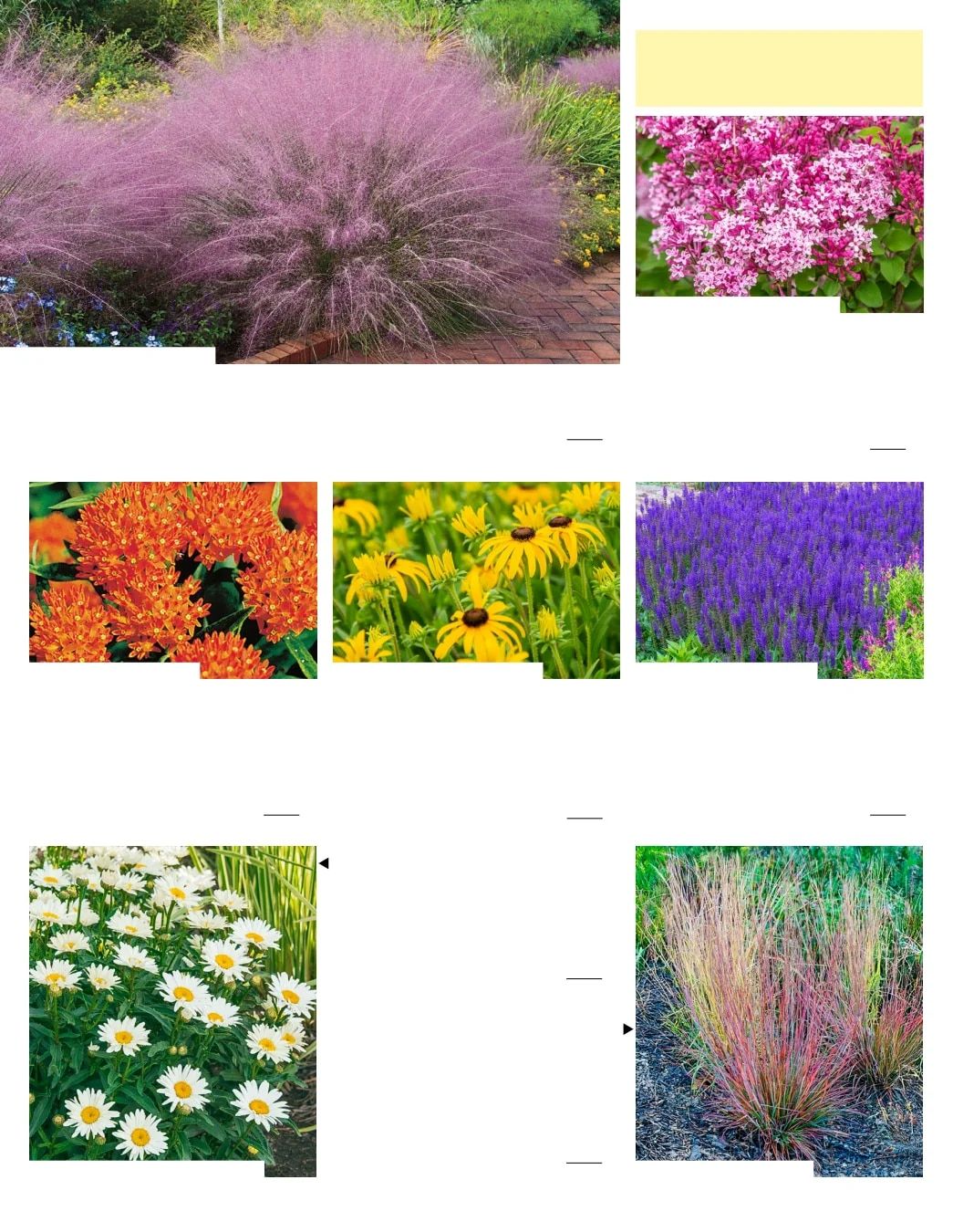 Gurney's Seed & Nursery Co. Fall Catalog Weekly Ad July 1 - December 31, 2026