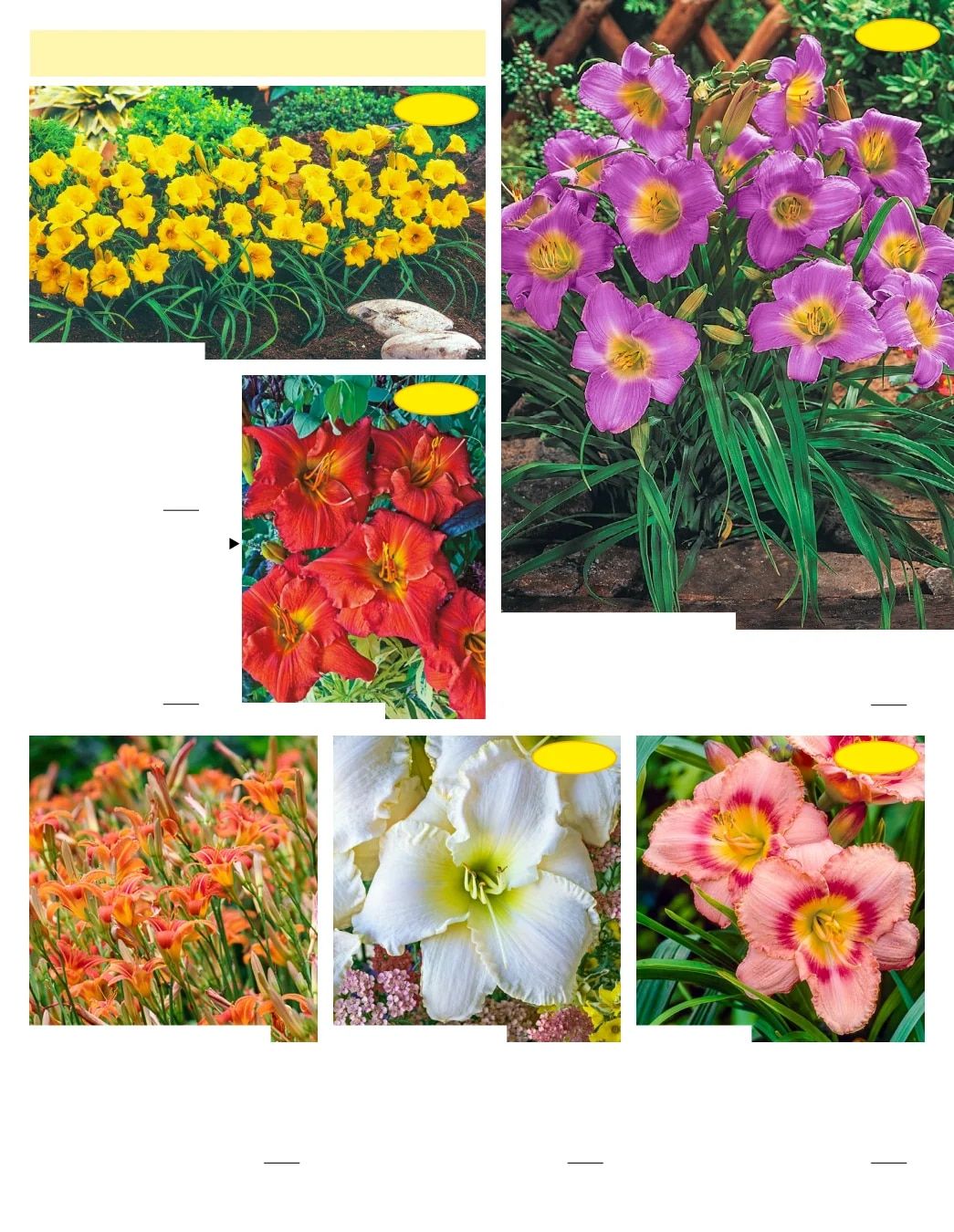 Gurney's Seed & Nursery Co. Fall Catalog Weekly Ad July 1 - December 31, 2026