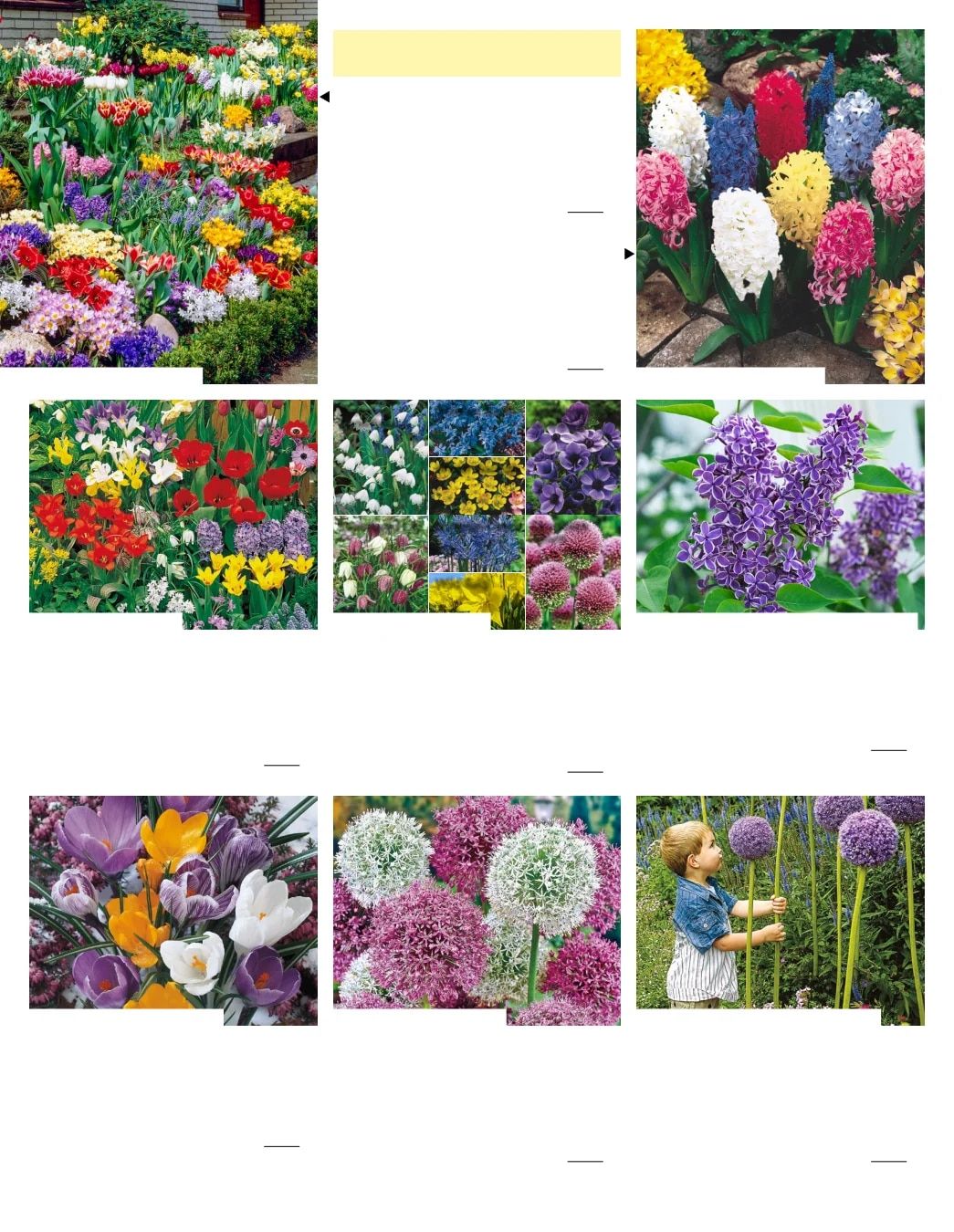 Gurney's Seed & Nursery Co. Fall Catalog Weekly Ad July 1 - December 31, 2026
