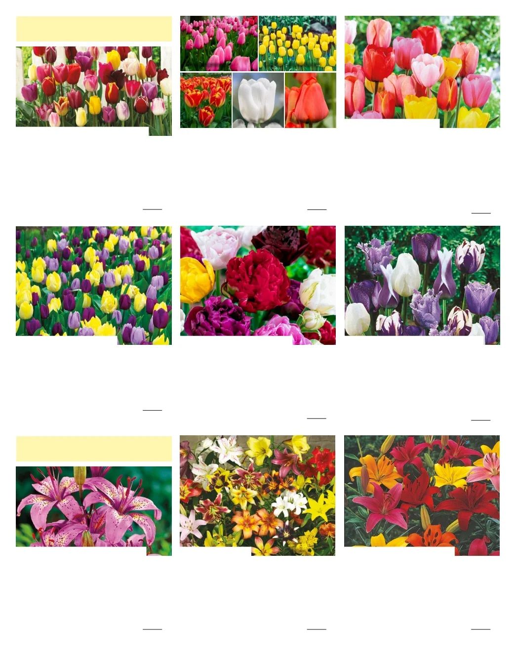 Gurney's Seed & Nursery Co. Fall Catalog Weekly Ad July 1 - December 31, 2026