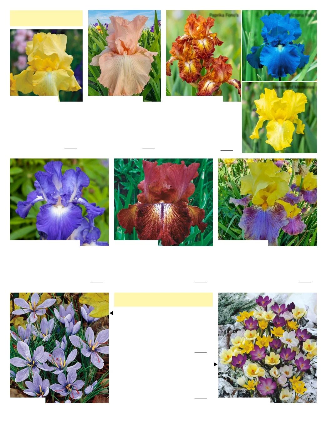 Gurney's Seed & Nursery Co. Fall Catalog Weekly Ad July 1 - December 31, 2026