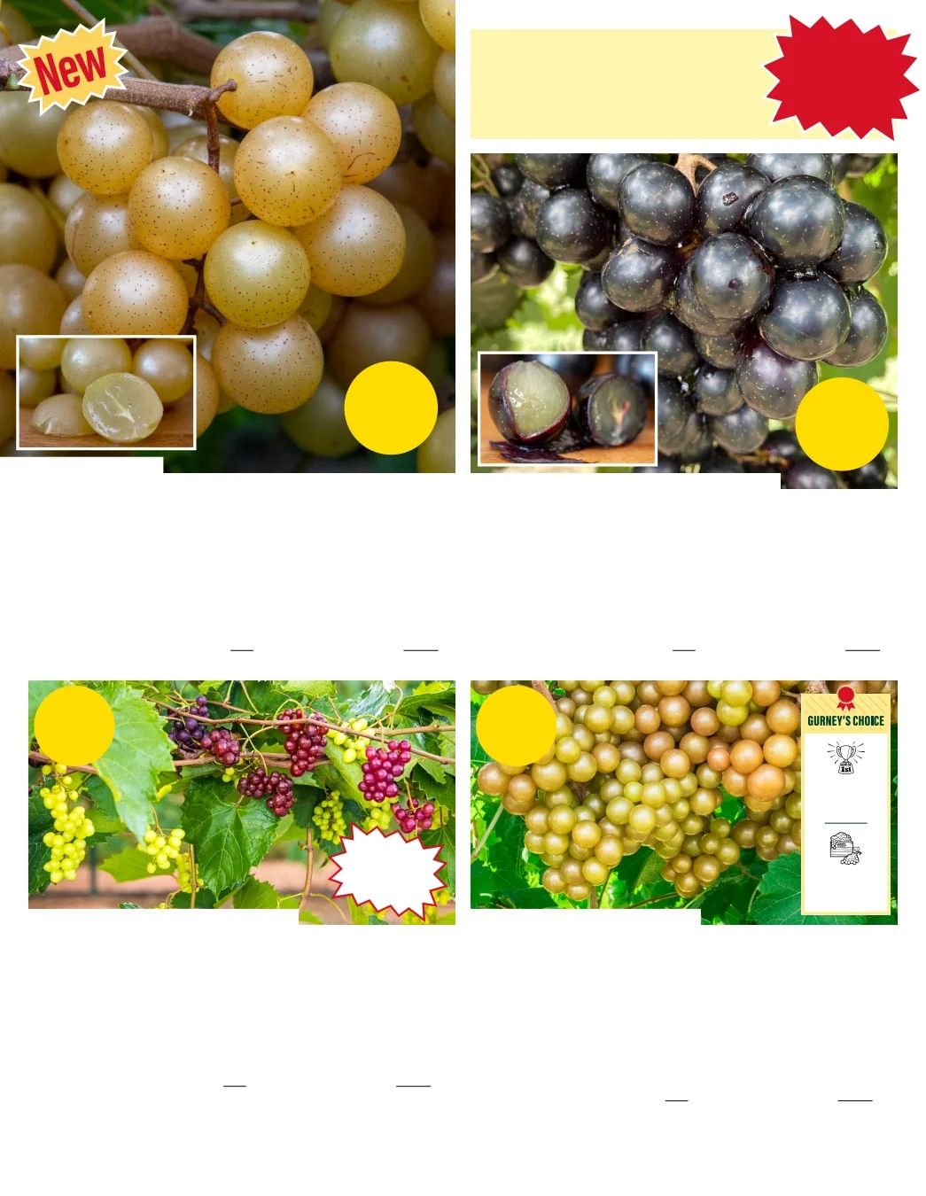 Gurney's Seed & Nursery Co. Fall Catalog Weekly Ad July 1 - December 31, 2026