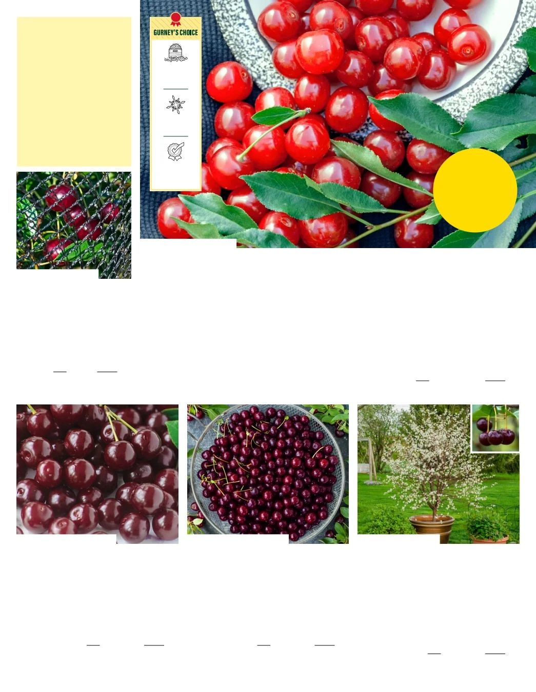 Gurney's Seed & Nursery Co. Fall Catalog Weekly Ad July 1 - December 31, 2026