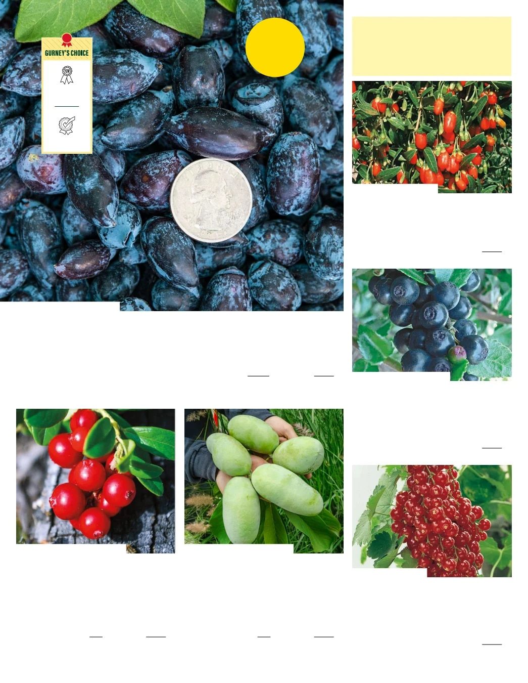 Gurney's Seed & Nursery Co. Fall Catalog Weekly Ad July 1 - December 31, 2026