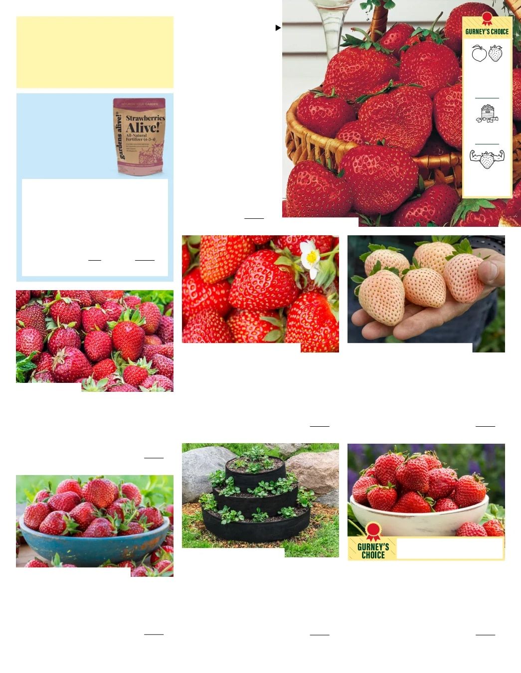 Gurney's Seed & Nursery Co. Fall Catalog Weekly Ad July 1 - December 31, 2026