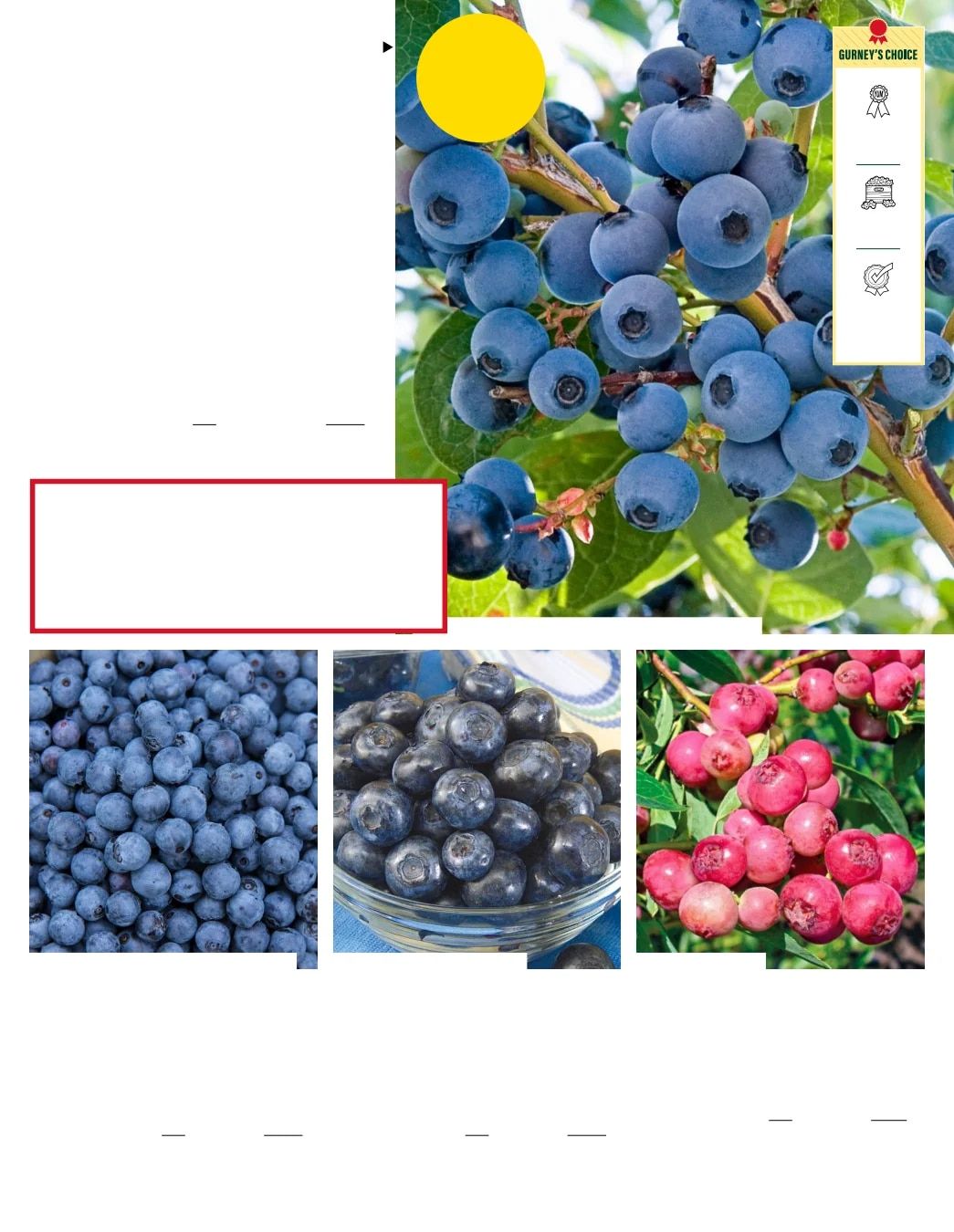 Gurney's Seed & Nursery Co. Fall Catalog Weekly Ad July 1 - December 31, 2026