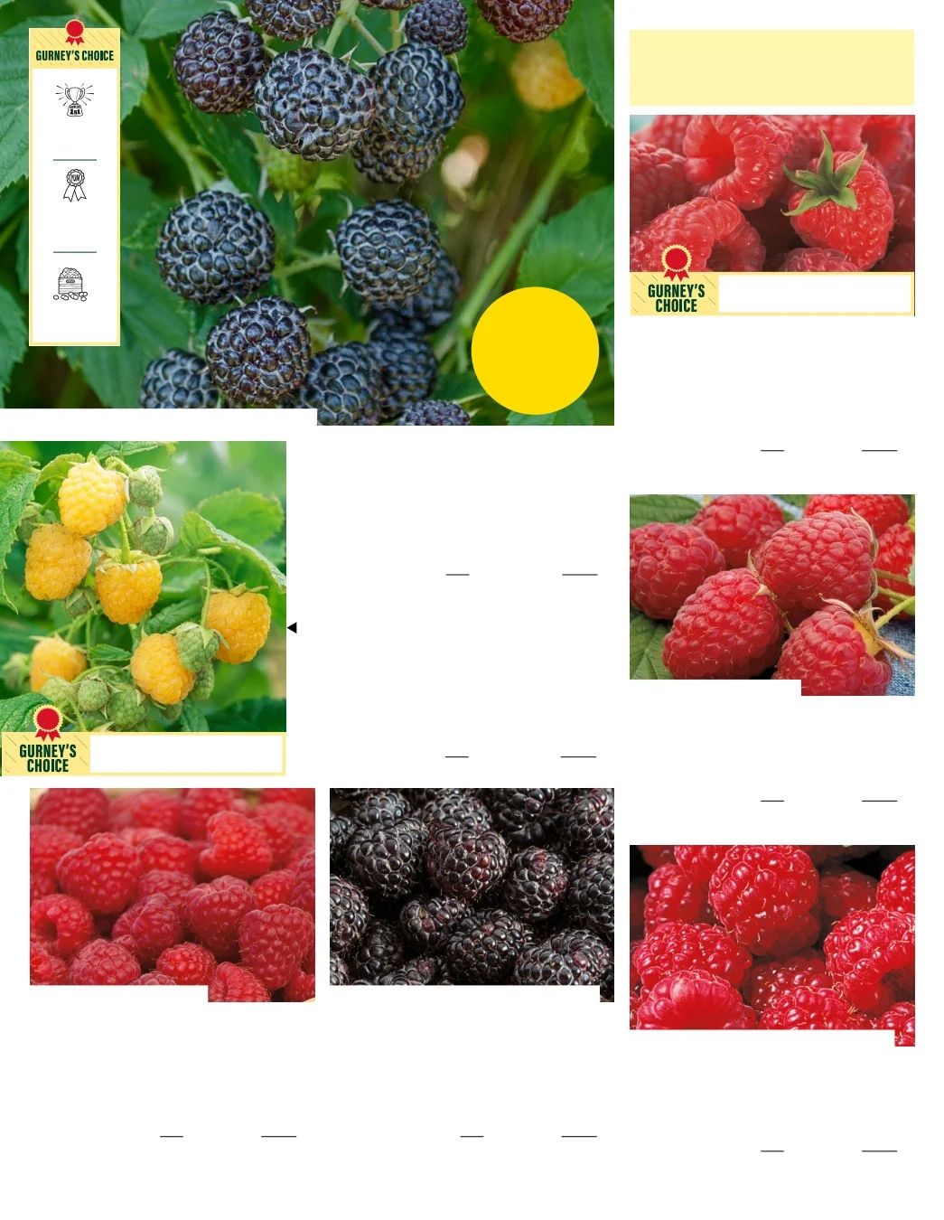 Gurney's Seed & Nursery Co. Fall Catalog Weekly Ad July 1 - December 31, 2026