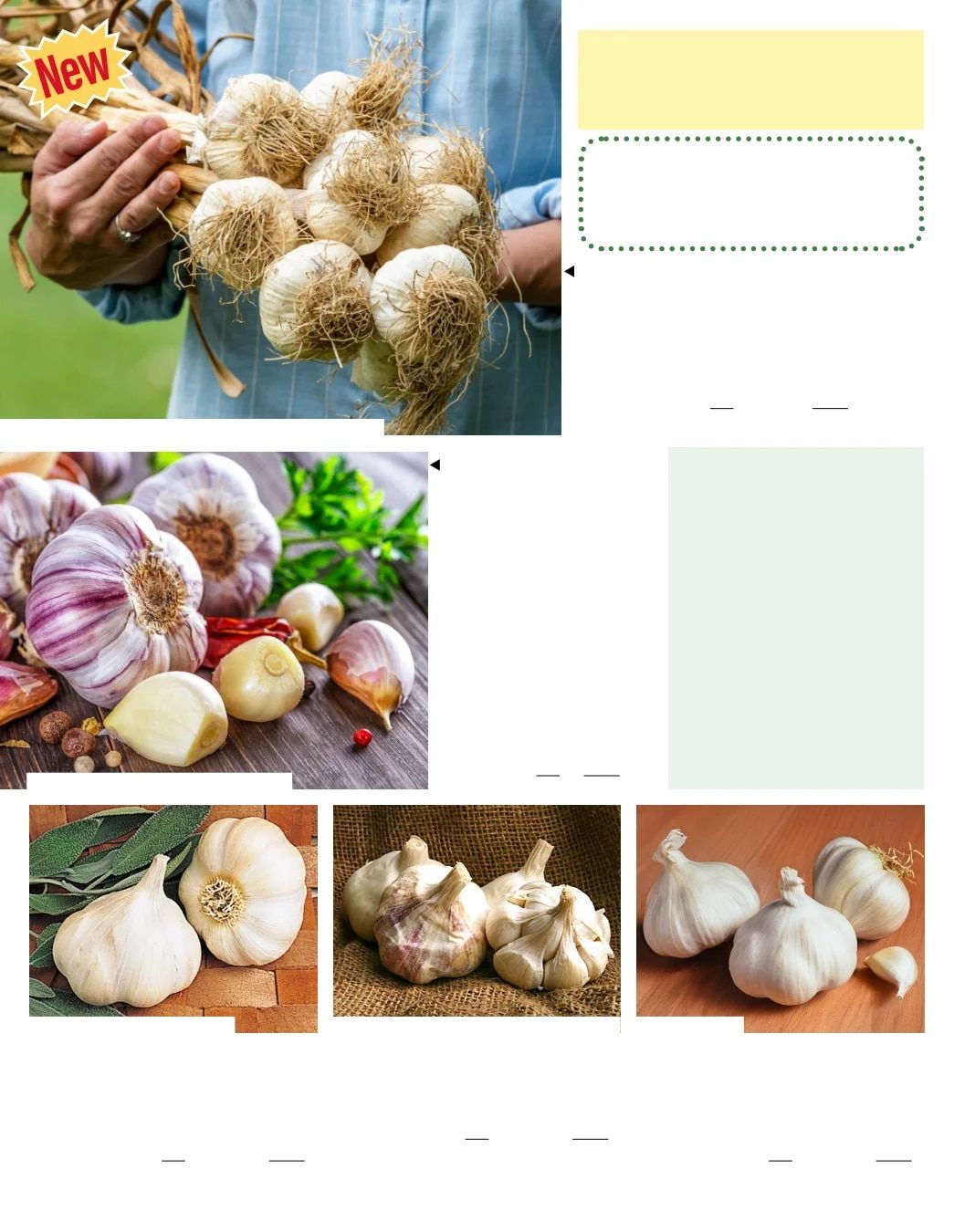 Gurney's Seed & Nursery Co. Fall Catalog Weekly Ad July 1 - December 31, 2026