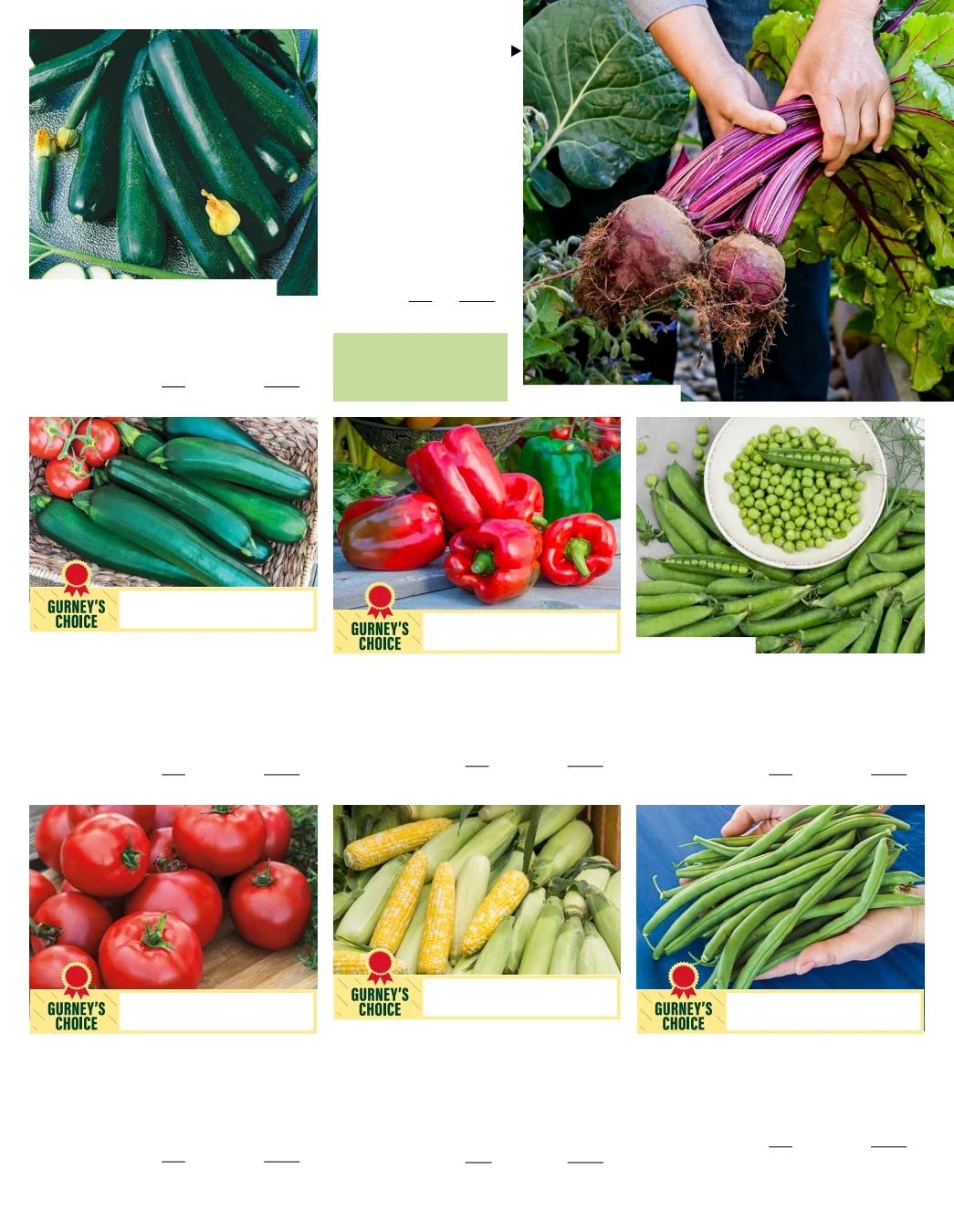 Gurney's Seed & Nursery Co. Fall Catalog Weekly Ad July 1 - December 31, 2026
