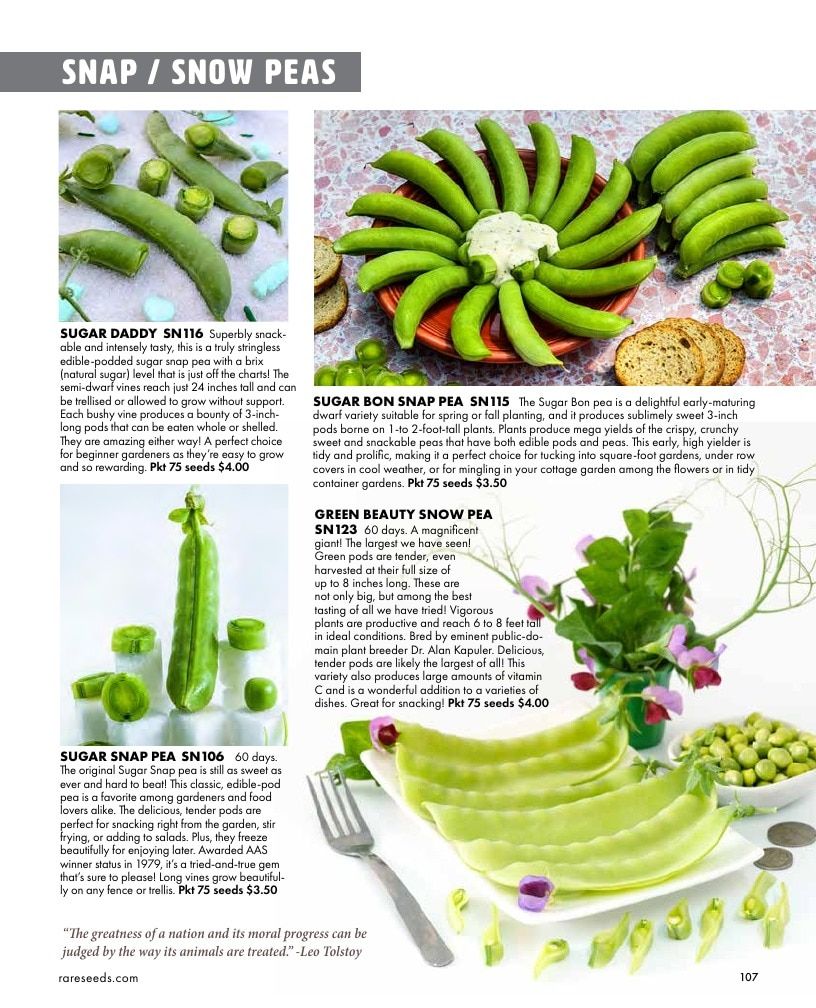 Baker Creek Heirloom Seeds Free Seed Catalog Weekly Ad January 1 - December 31, 2026