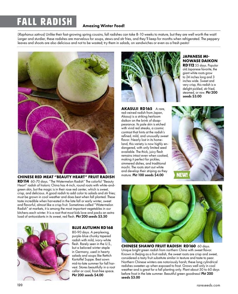 Baker Creek Heirloom Seeds Free Seed Catalog Weekly Ad January 1 - December 31, 2026