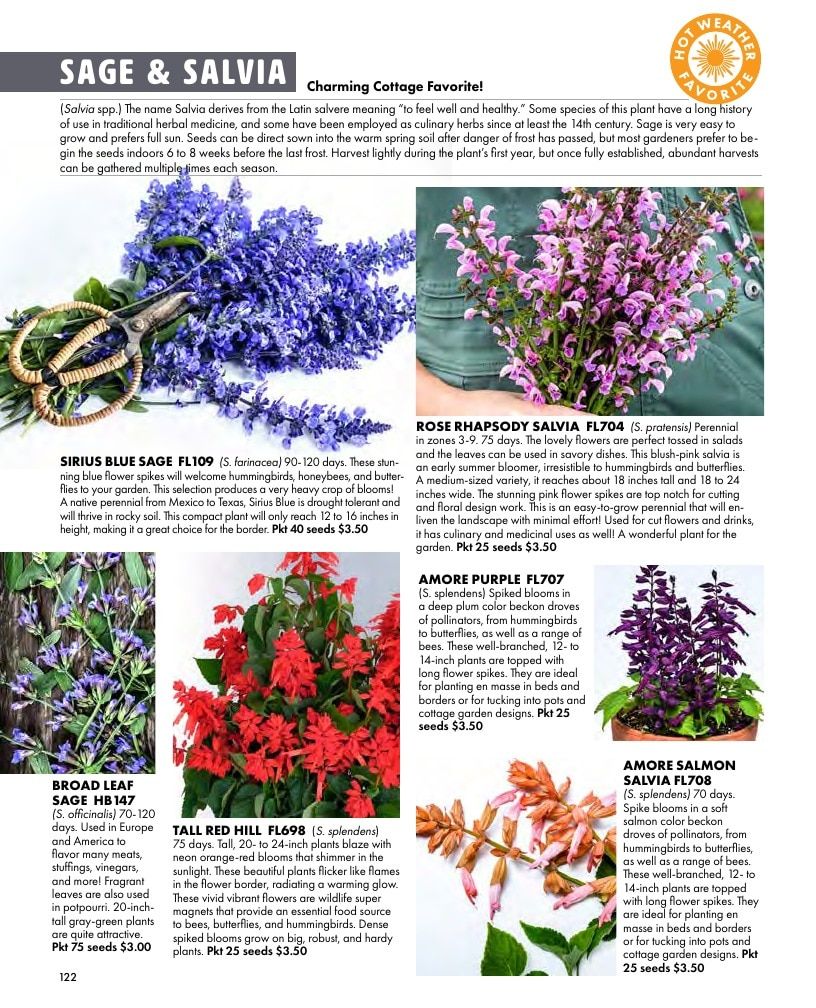 Baker Creek Heirloom Seeds Free Seed Catalog Weekly Ad January 1 - December 31, 2026