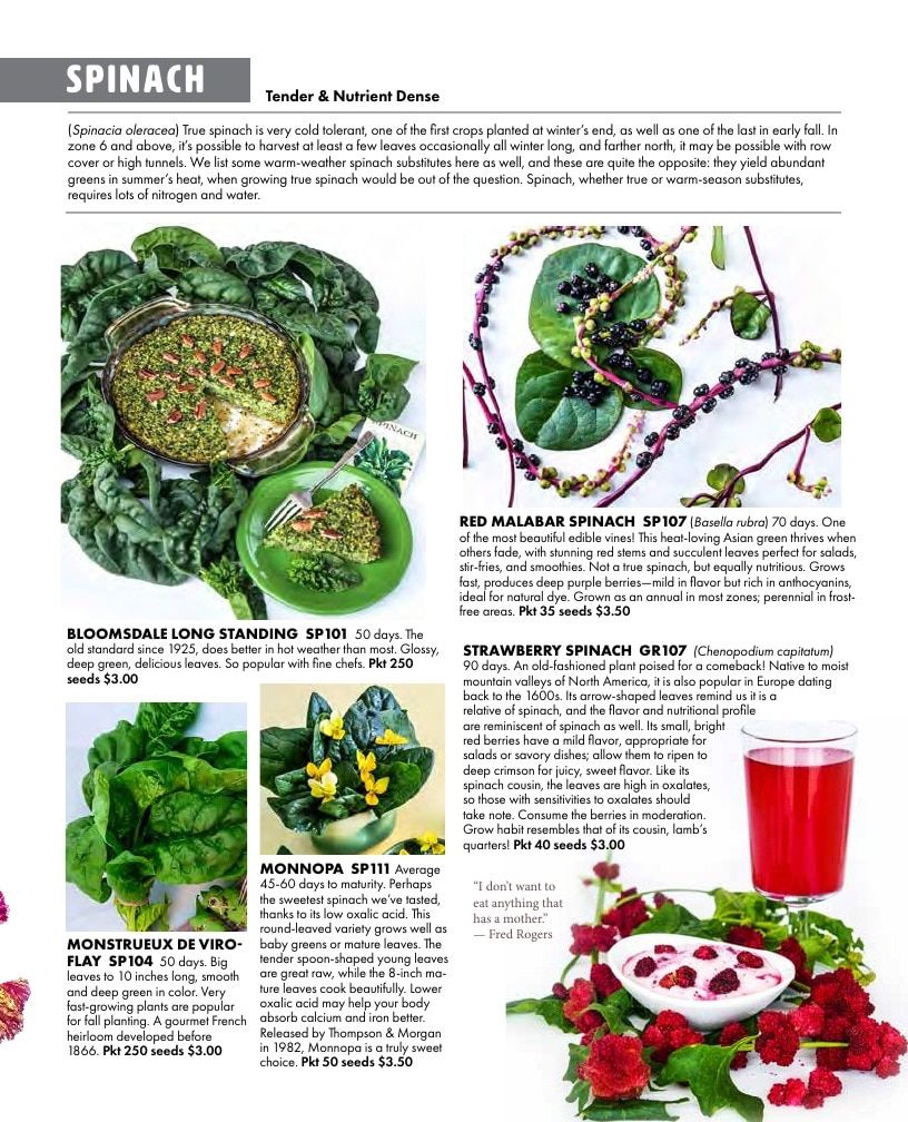 Baker Creek Heirloom Seeds Free Seed Catalog Weekly Ad January 1 - December 31, 2026