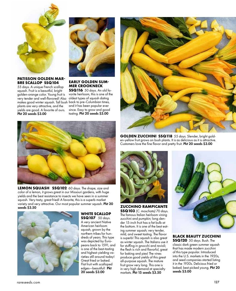 Baker Creek Heirloom Seeds Free Seed Catalog Weekly Ad January 1 - December 31, 2026