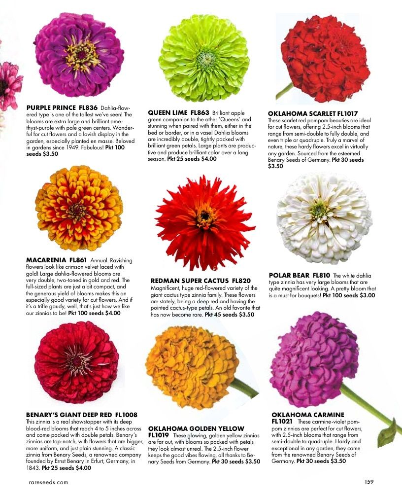 Baker Creek Heirloom Seeds Free Seed Catalog Weekly Ad January 1 - December 31, 2026