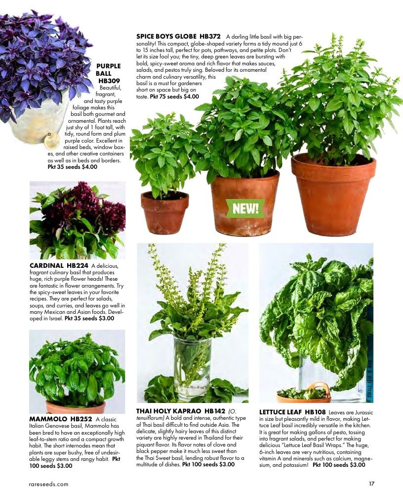 Baker Creek Heirloom Seeds Free Seed Catalog Weekly Ad January 1 - December 31, 2026