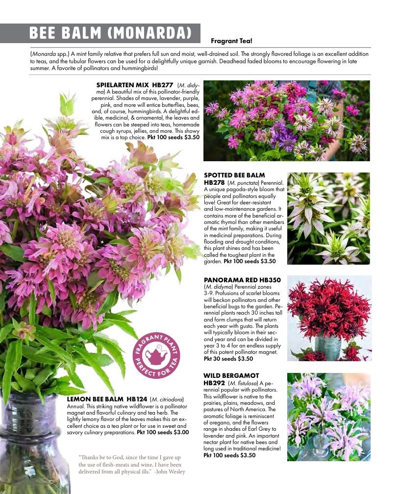 Baker Creek Heirloom Seeds Free Seed Catalog Weekly Ad January 1 - December 31, 2026