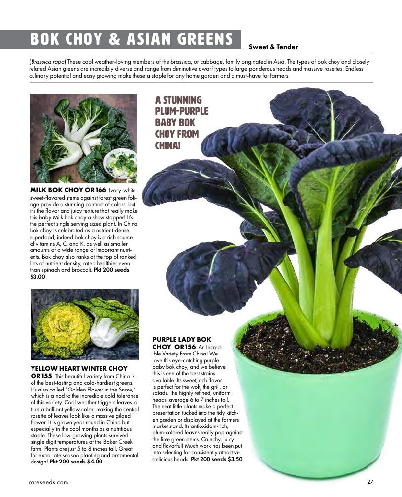 Baker Creek Heirloom Seeds Free Seed Catalog Weekly Ad January 1 - December 31, 2026