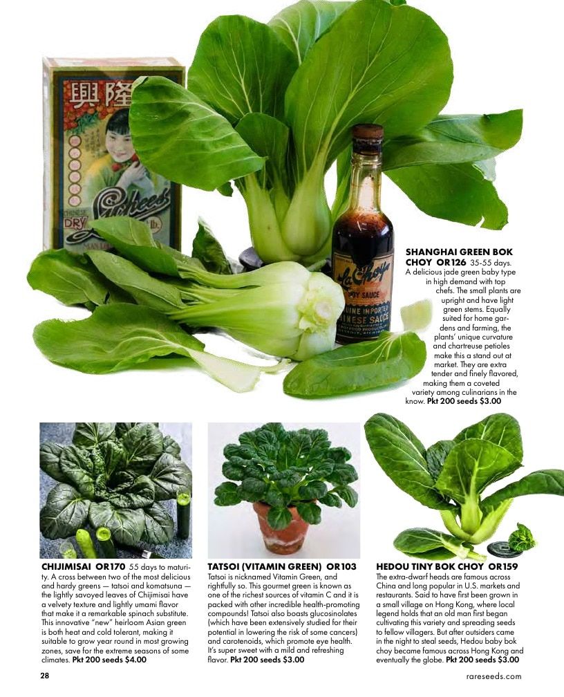 Baker Creek Heirloom Seeds Free Seed Catalog Weekly Ad January 1 - December 31, 2026