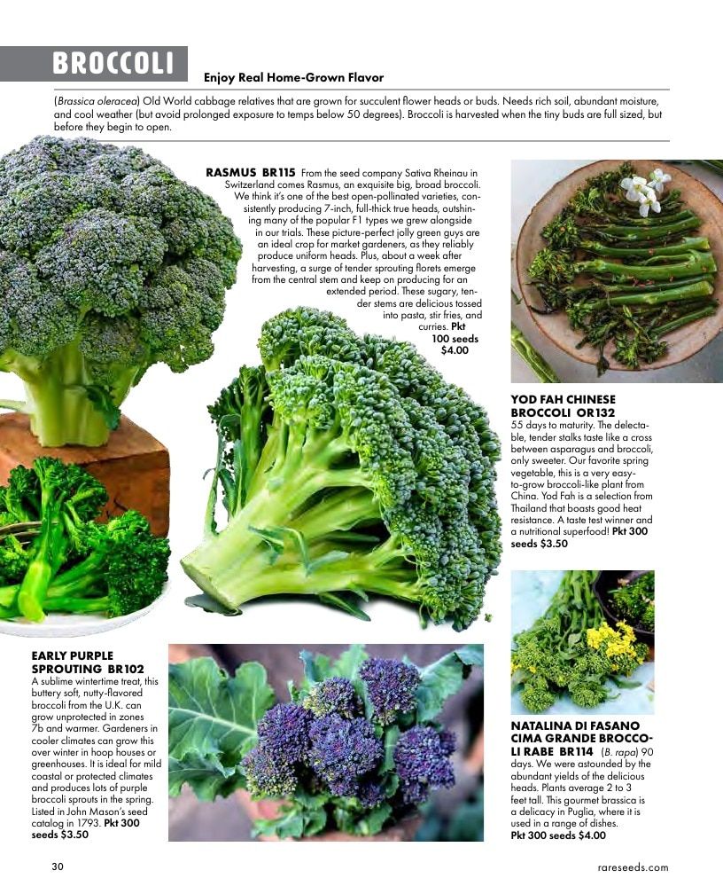 Baker Creek Heirloom Seeds Free Seed Catalog Weekly Ad January 1 - December 31, 2026